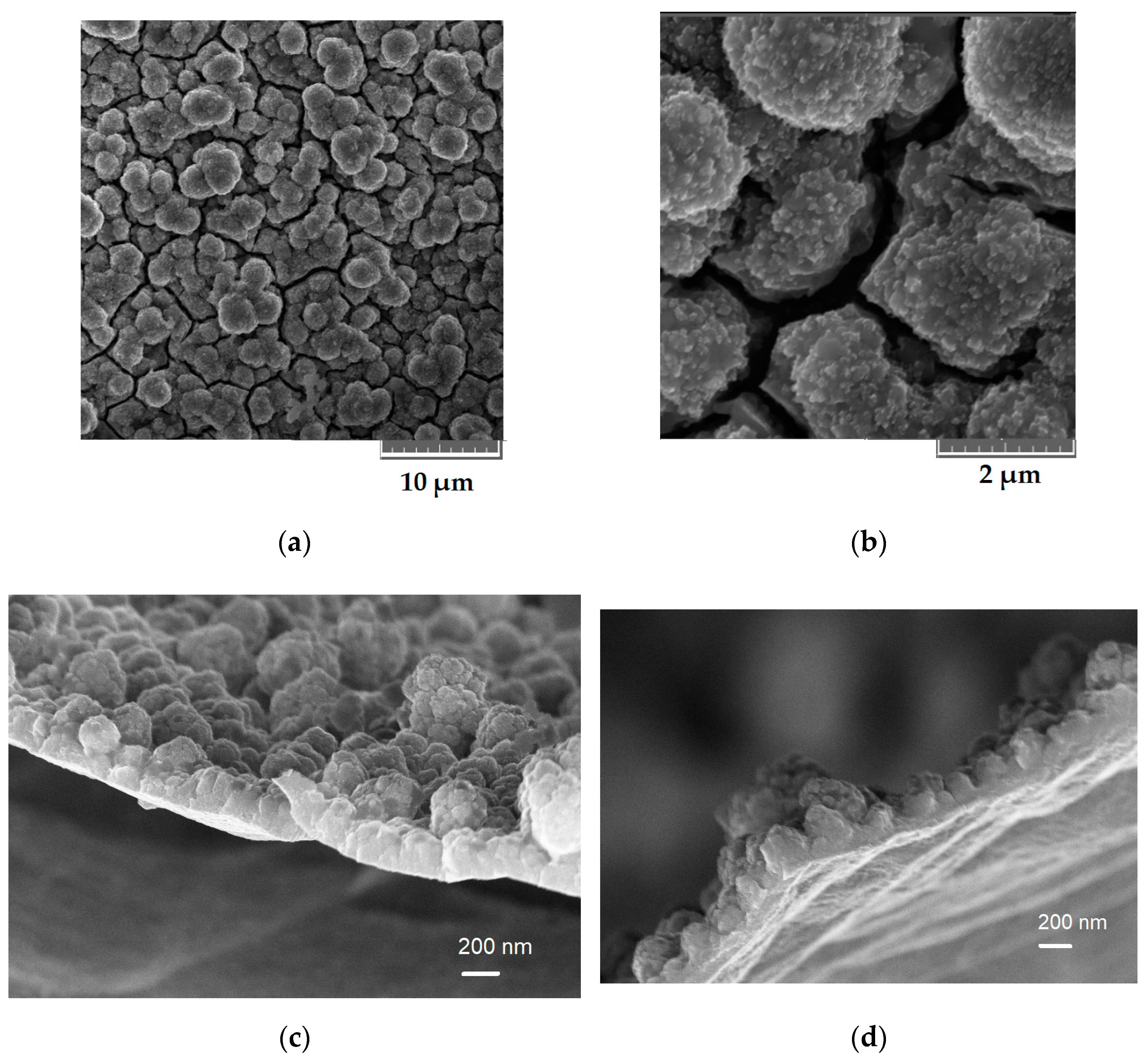 Batteries 08 00098 g002 550