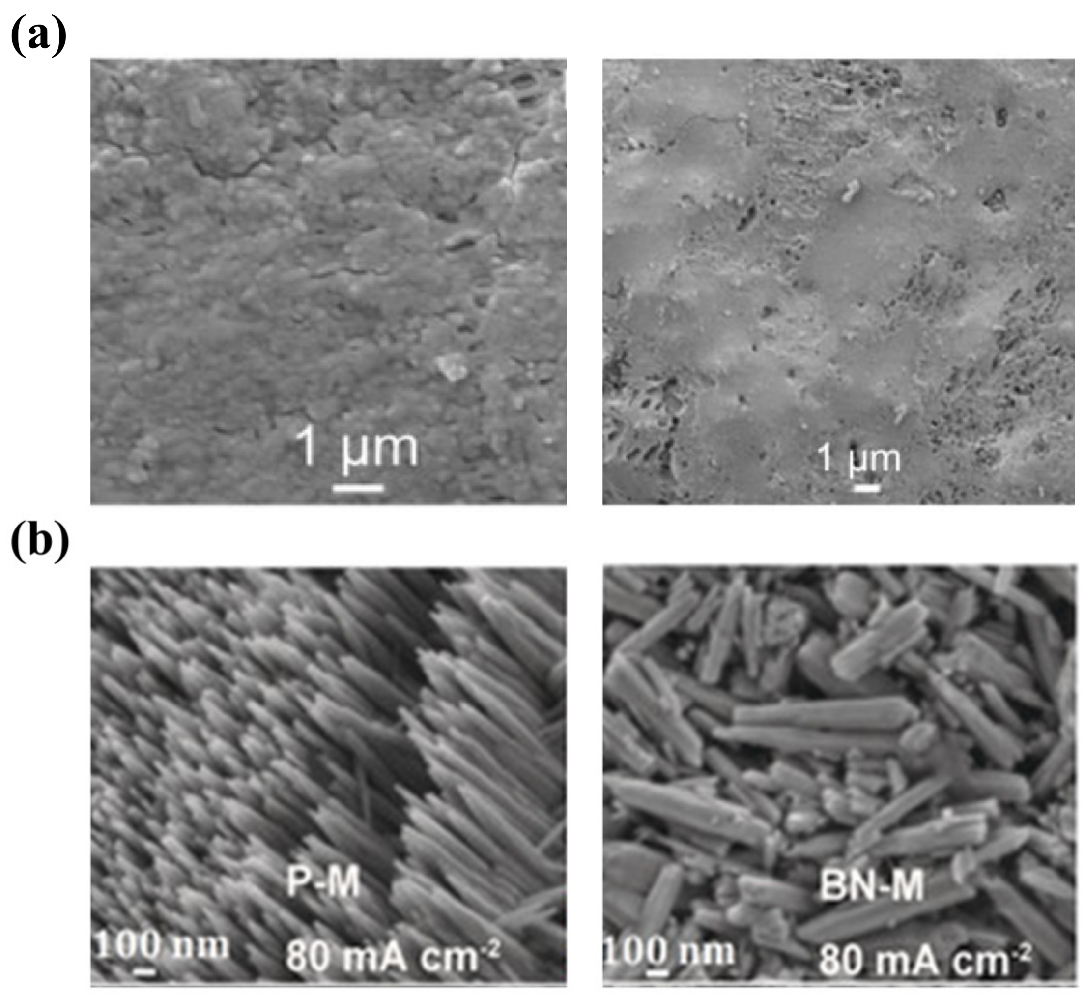 Batteries 08 00117 g008 550