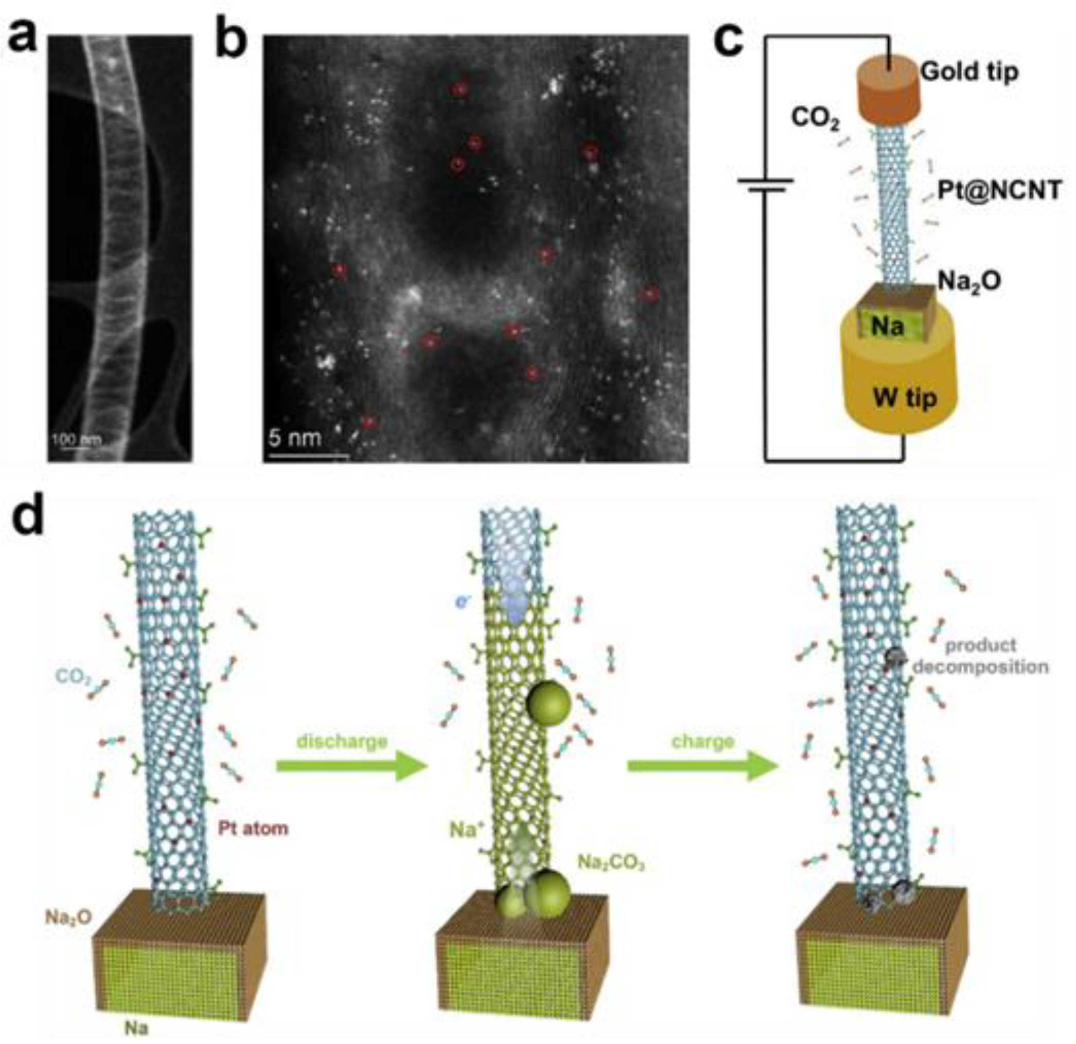 Batteries 09 00036 g007