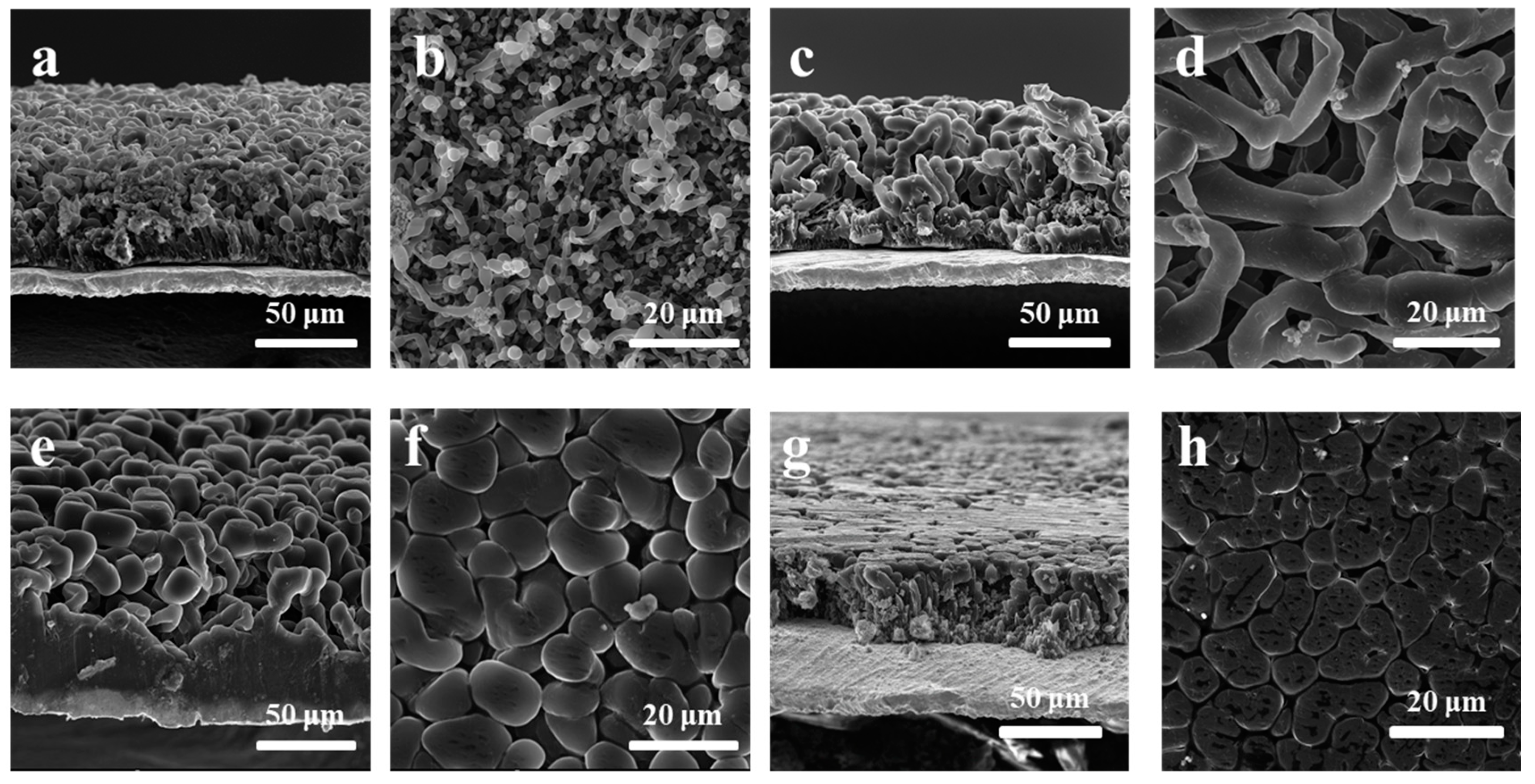 Batteries 09 00149 g003 550