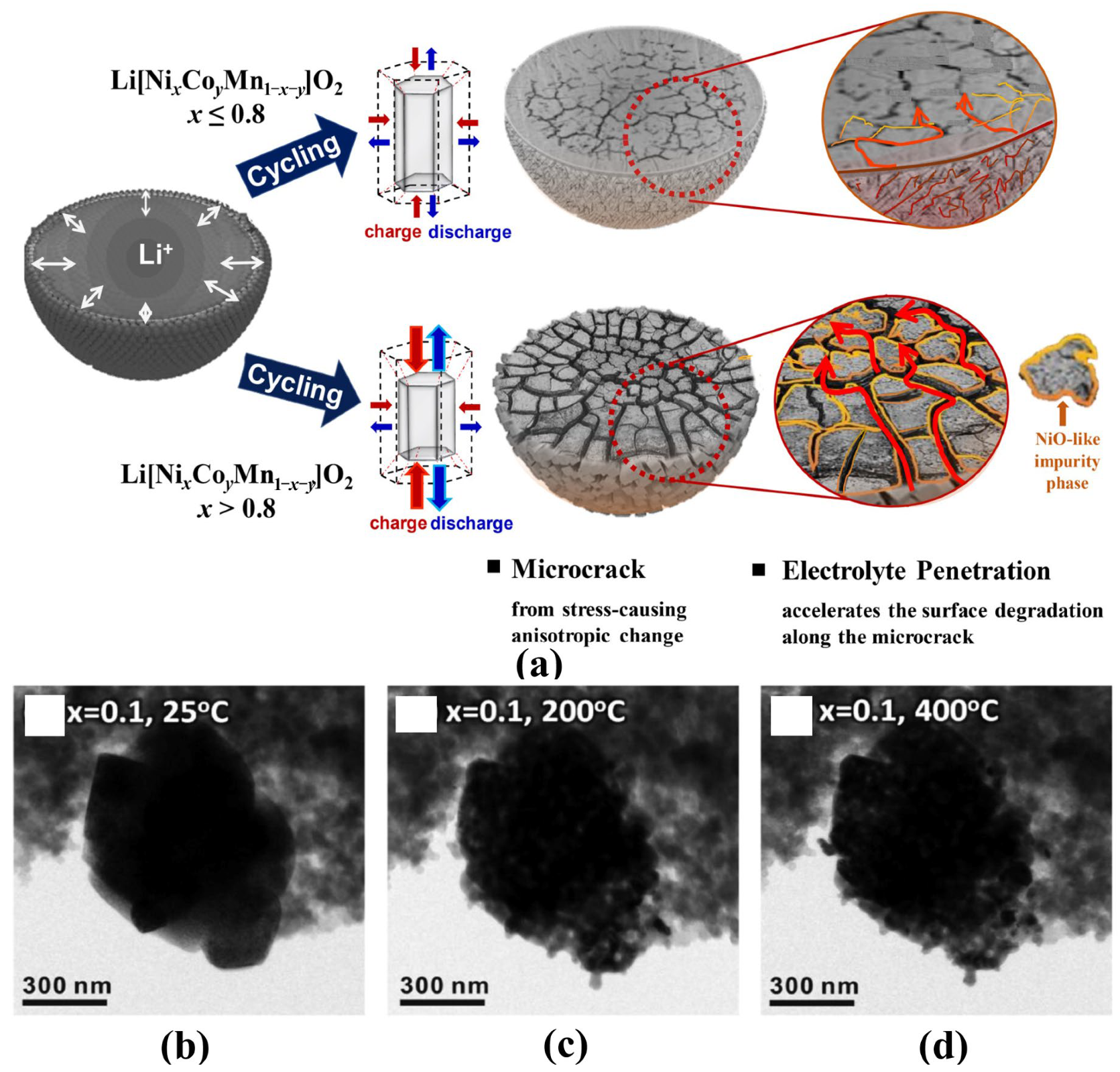 Batteries 09 00156 g003 Batteries 09 00156 g003