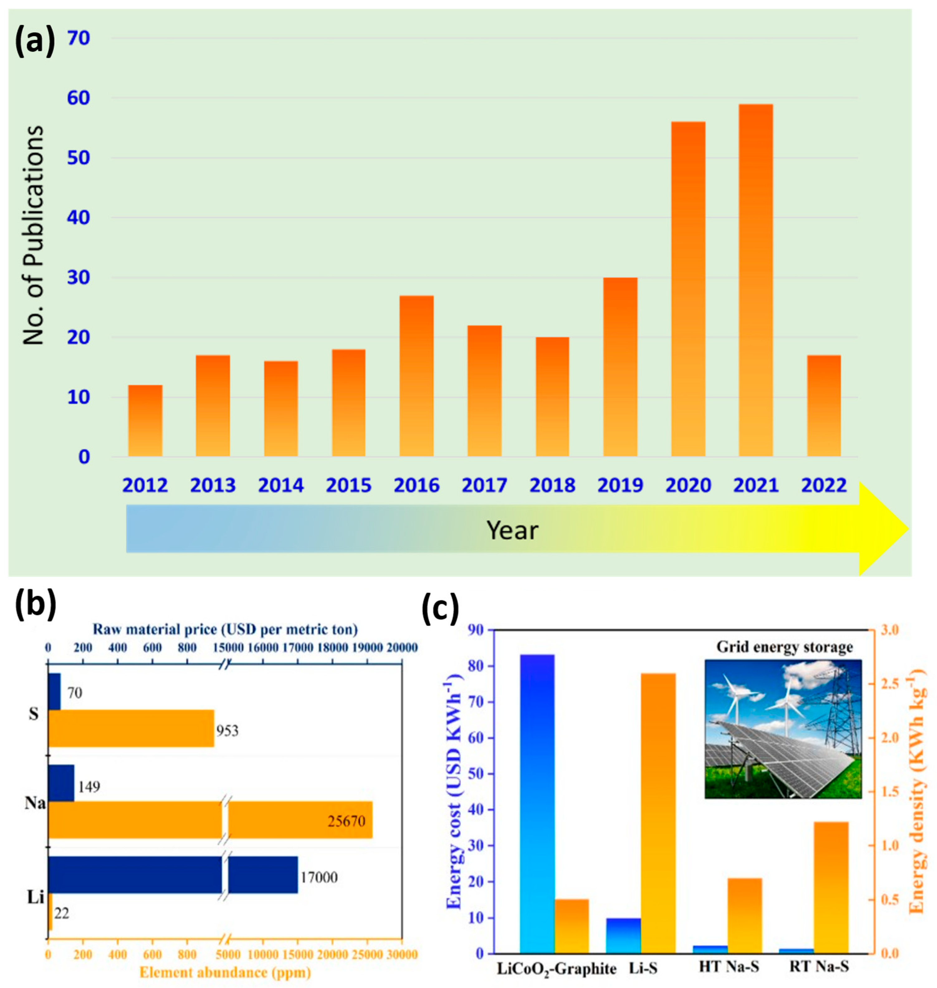 Advances in Strategic Inhibition of Polysulfide Shuttle in