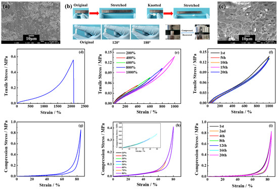 Acrylate Copolymer-Reinforced Hydrogel Electrolyte for