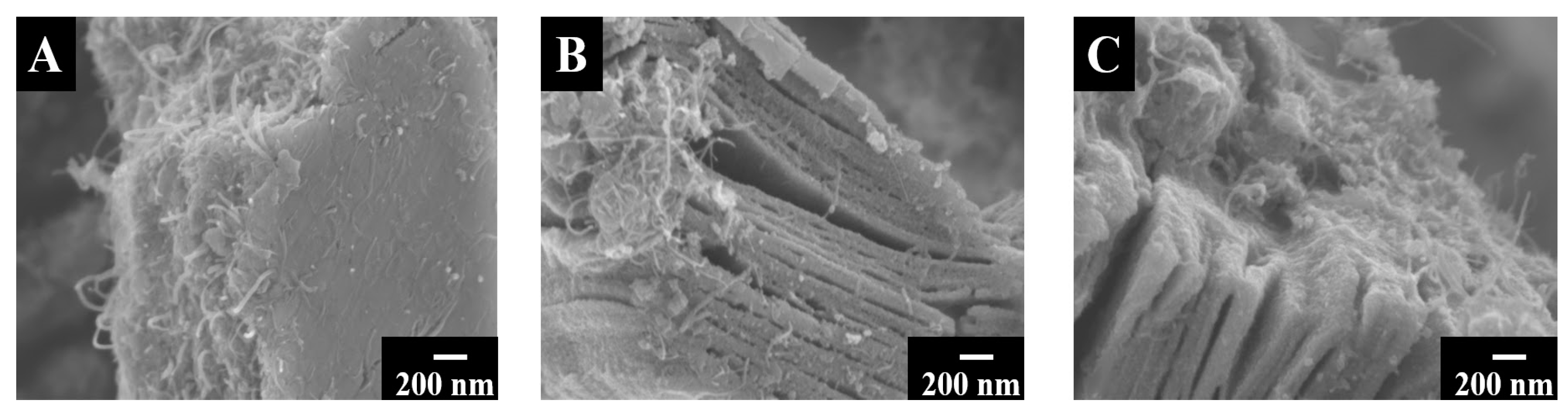 Batteries 09 00327 g004 Batteries 09 00327 g004