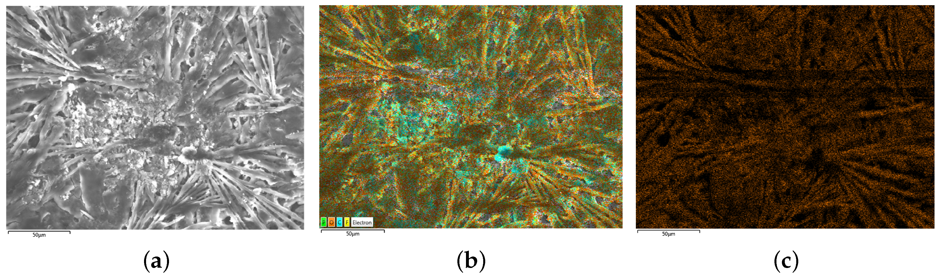 Batteries 09 00350 g012