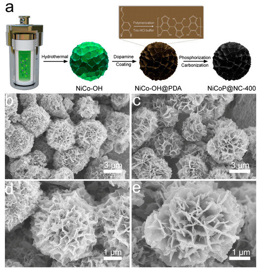 Bimetallic Flower-like NiCoP Encapsulated in an N-Doped