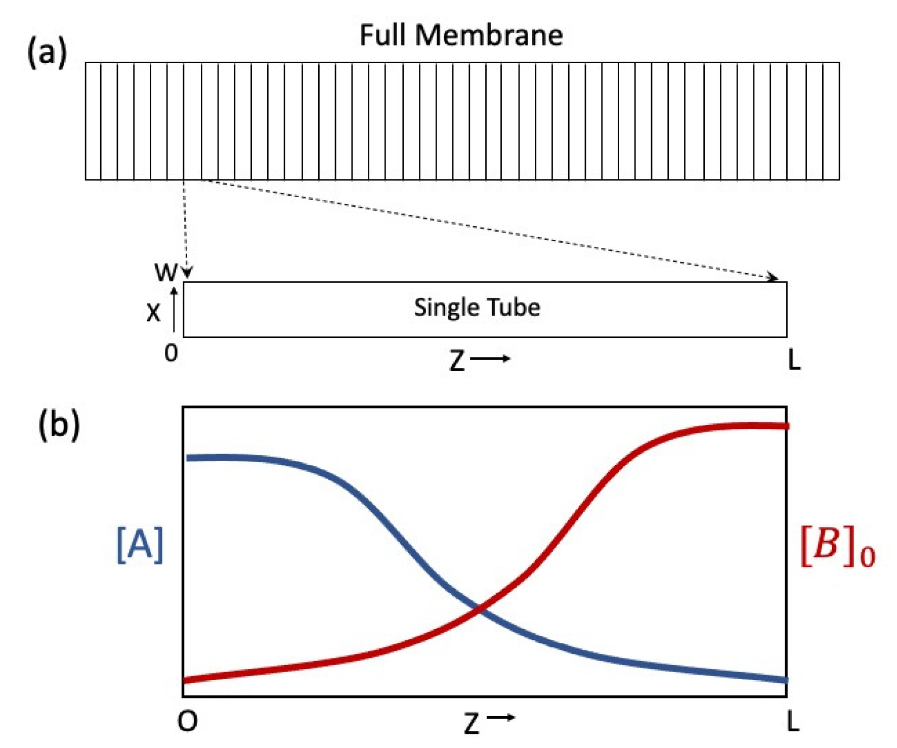 Batteries 09 00372 g001 Batteries 09 00372 g001