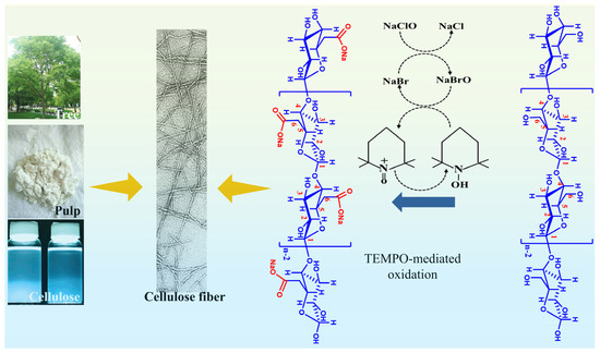 The Application of Cellulose Nanofibrils in Energy Systems