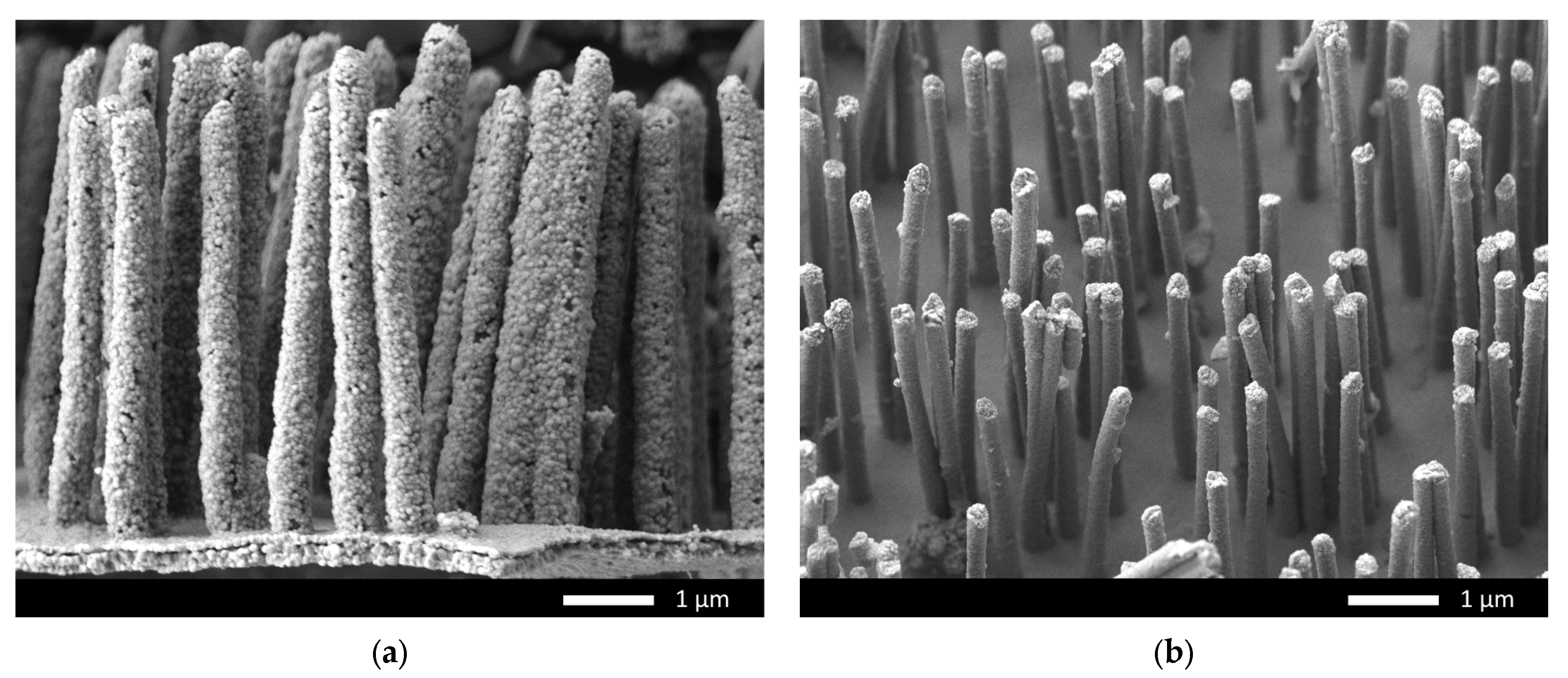 Batteries 09 00421 g002