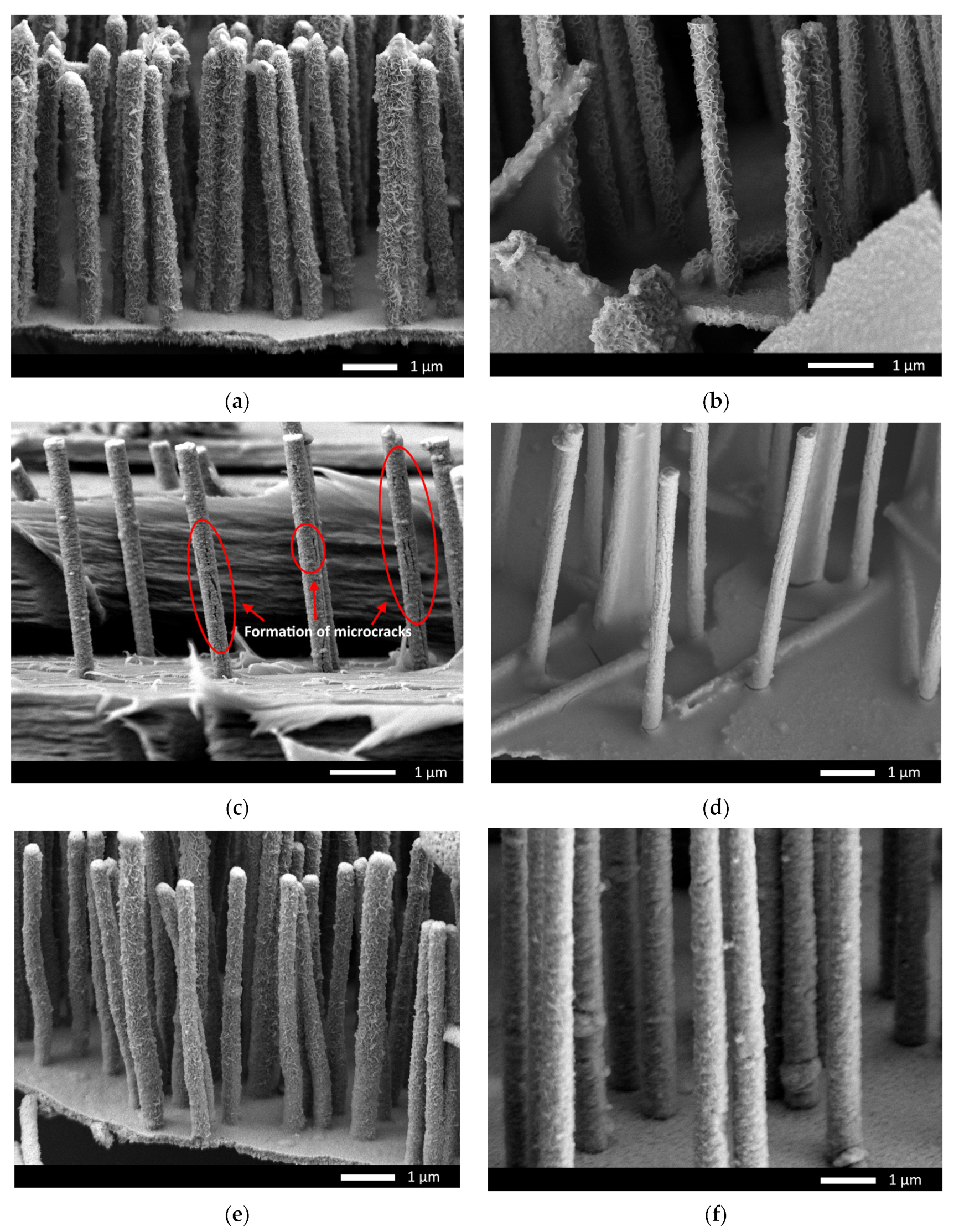 Batteries 09 00421 g011