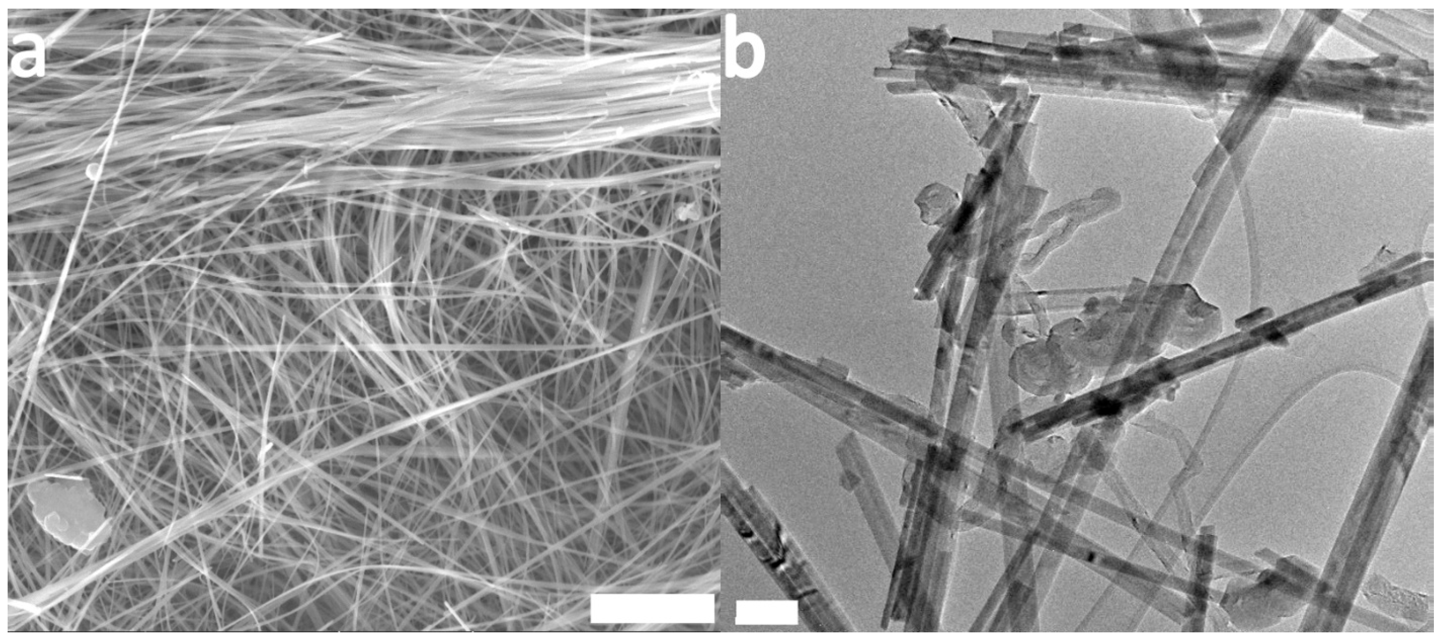 Batteries 09 00428 g005
