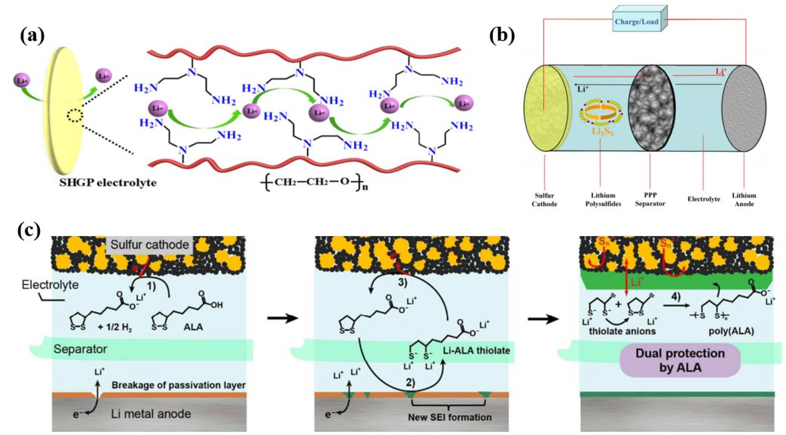 Batteries 09 00488 g002