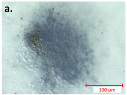 Batteries 09 00496 i001