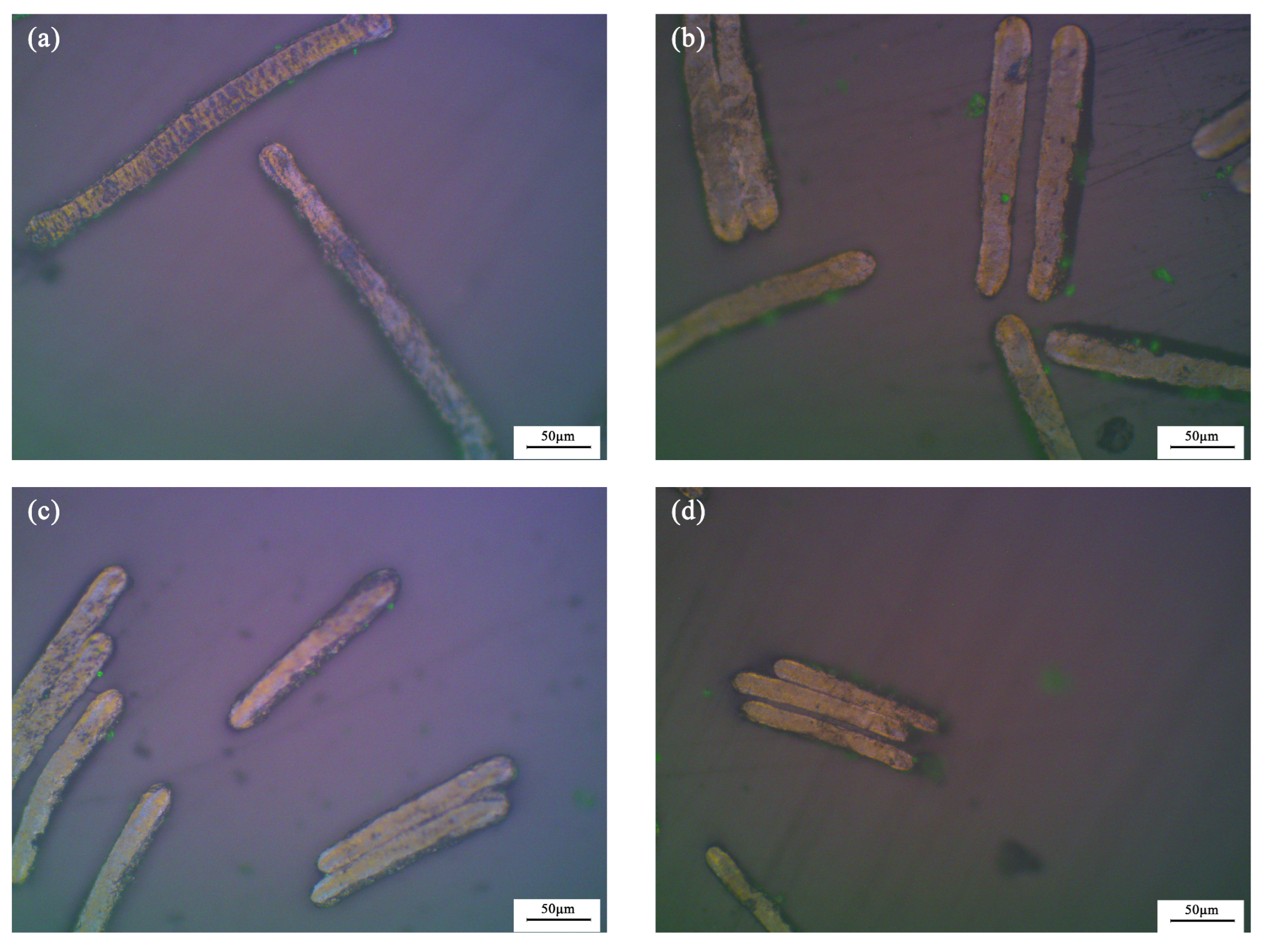 Batteries 09 00550 g003