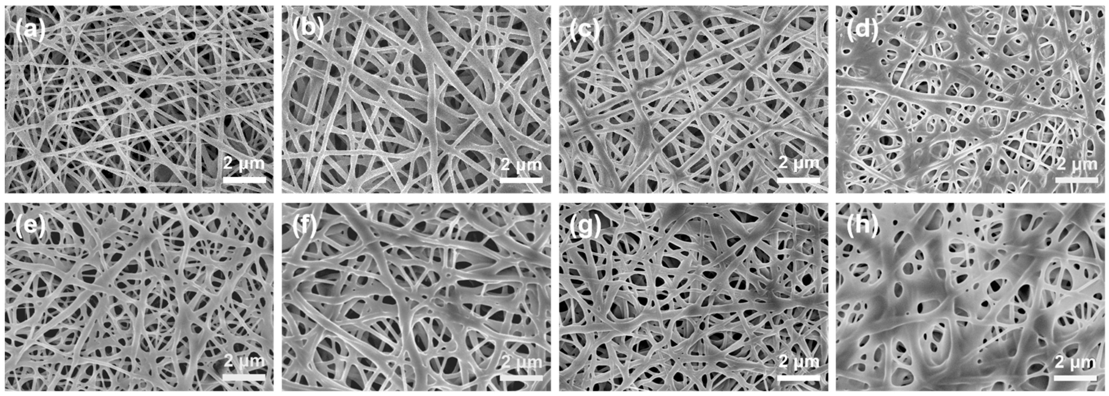 Batteries 09 00556 g002