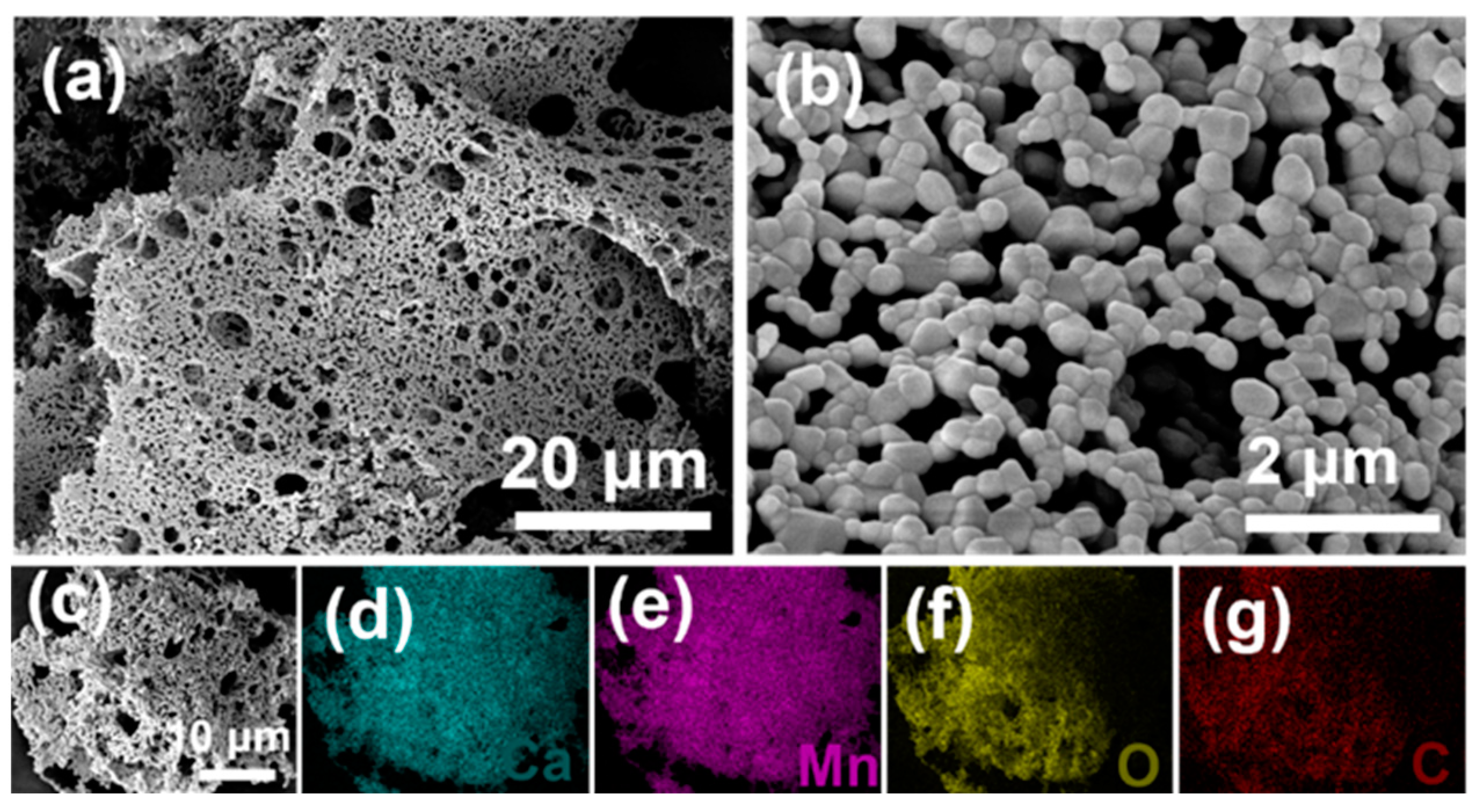 Batteries 09 00586 g001