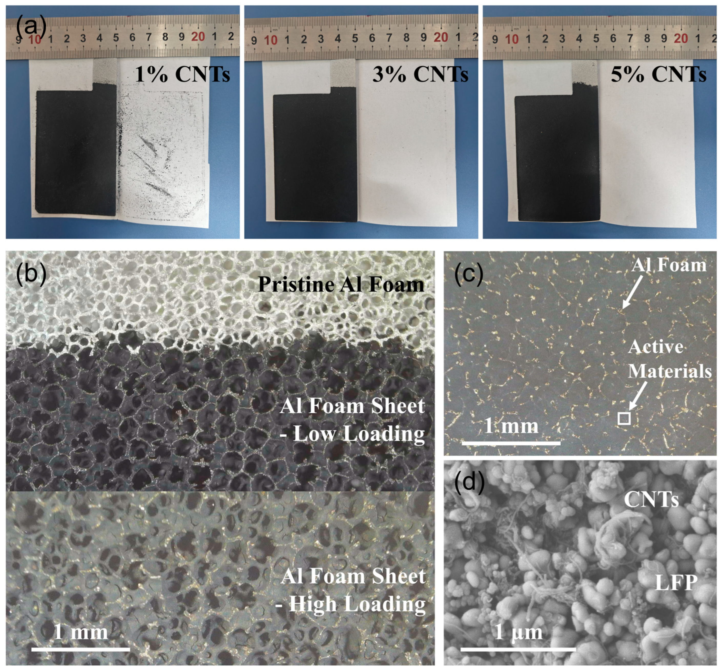 Batteries 10 00261 g001