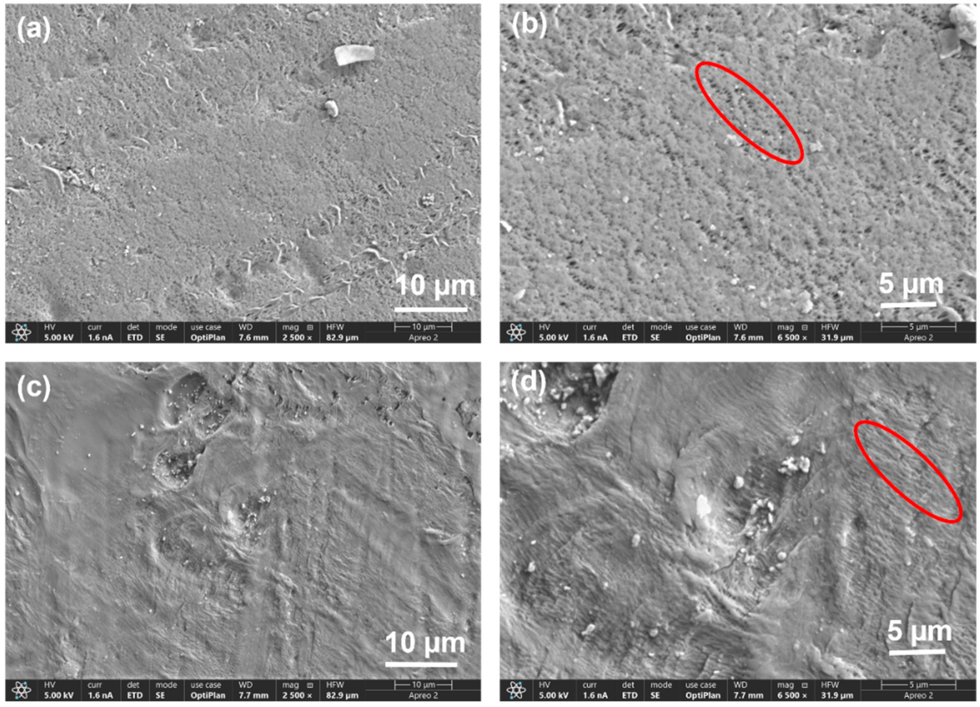 Batteries 10 00293 g001