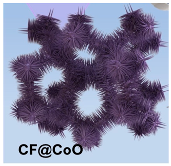 Batteries 10 00330 i005