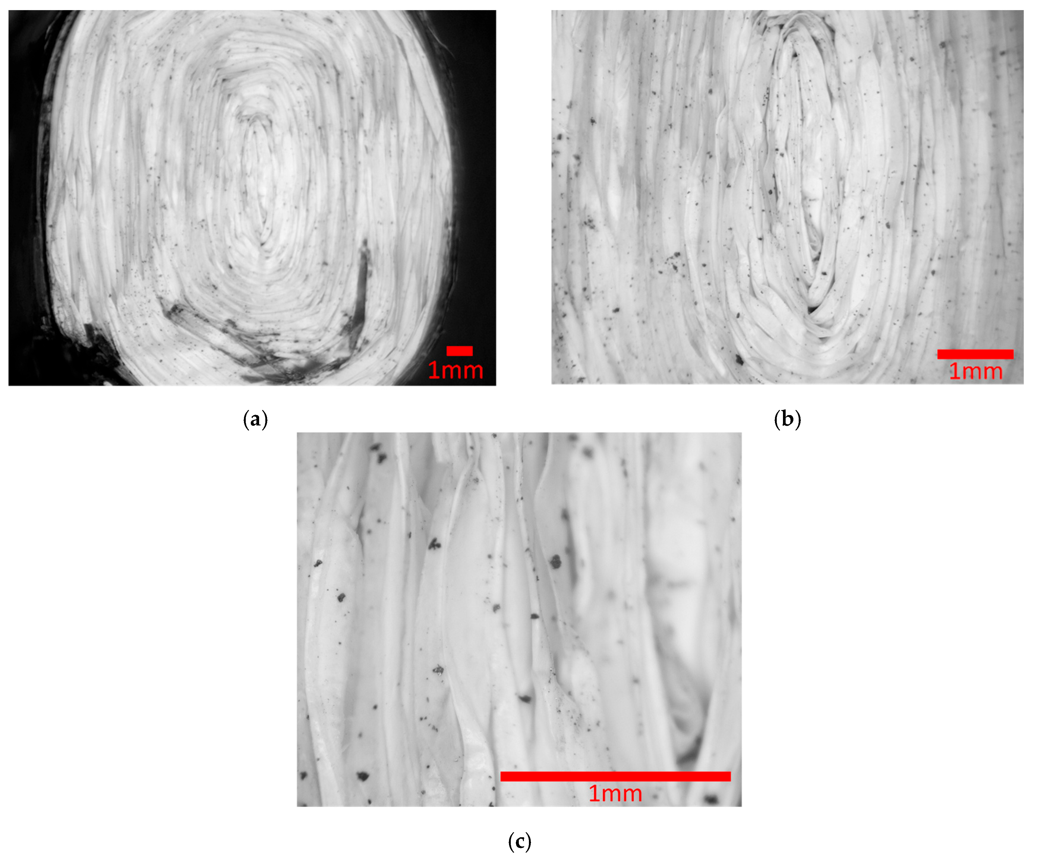 Batteries 10 00353 g006