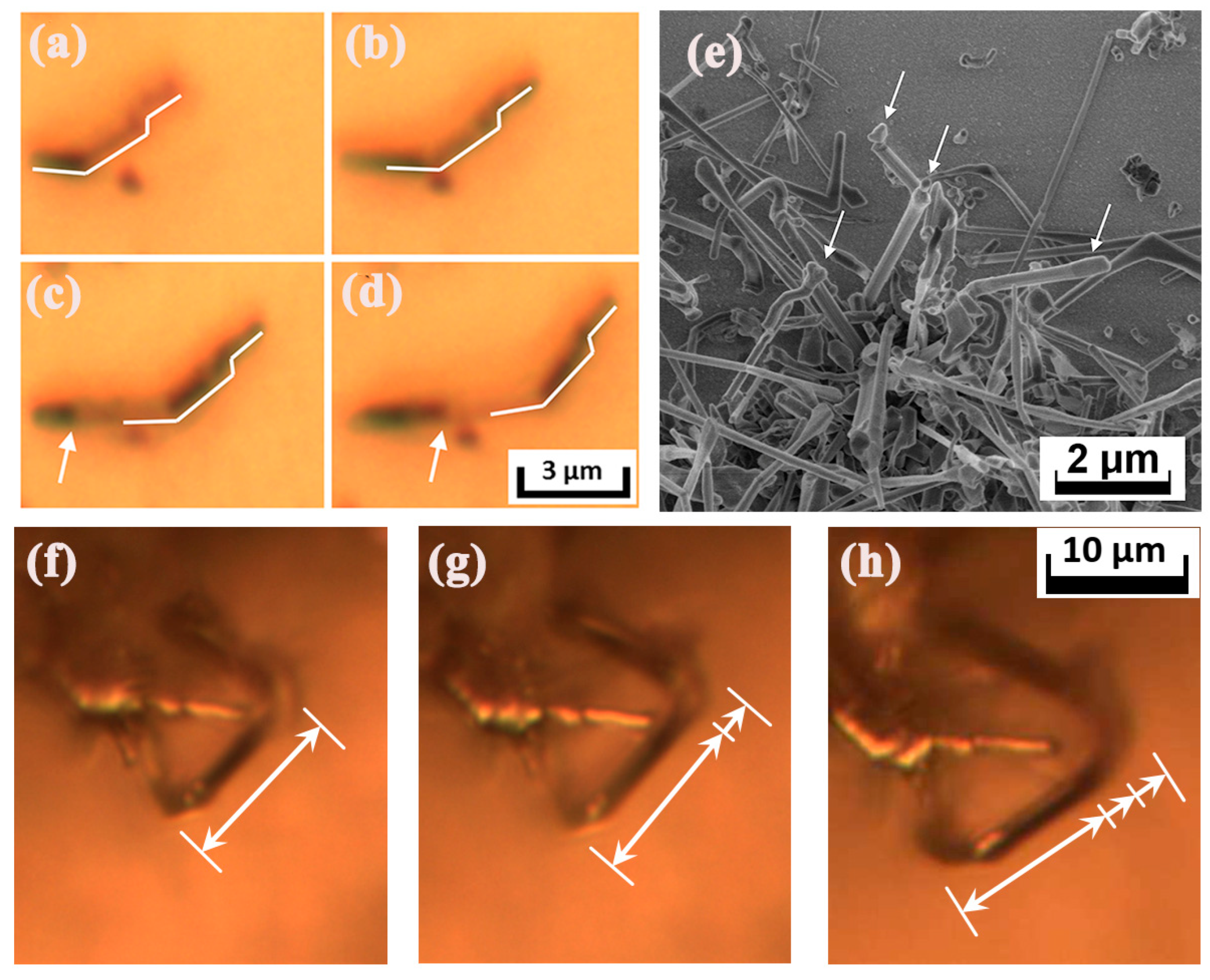 Batteries 11 00006 g008