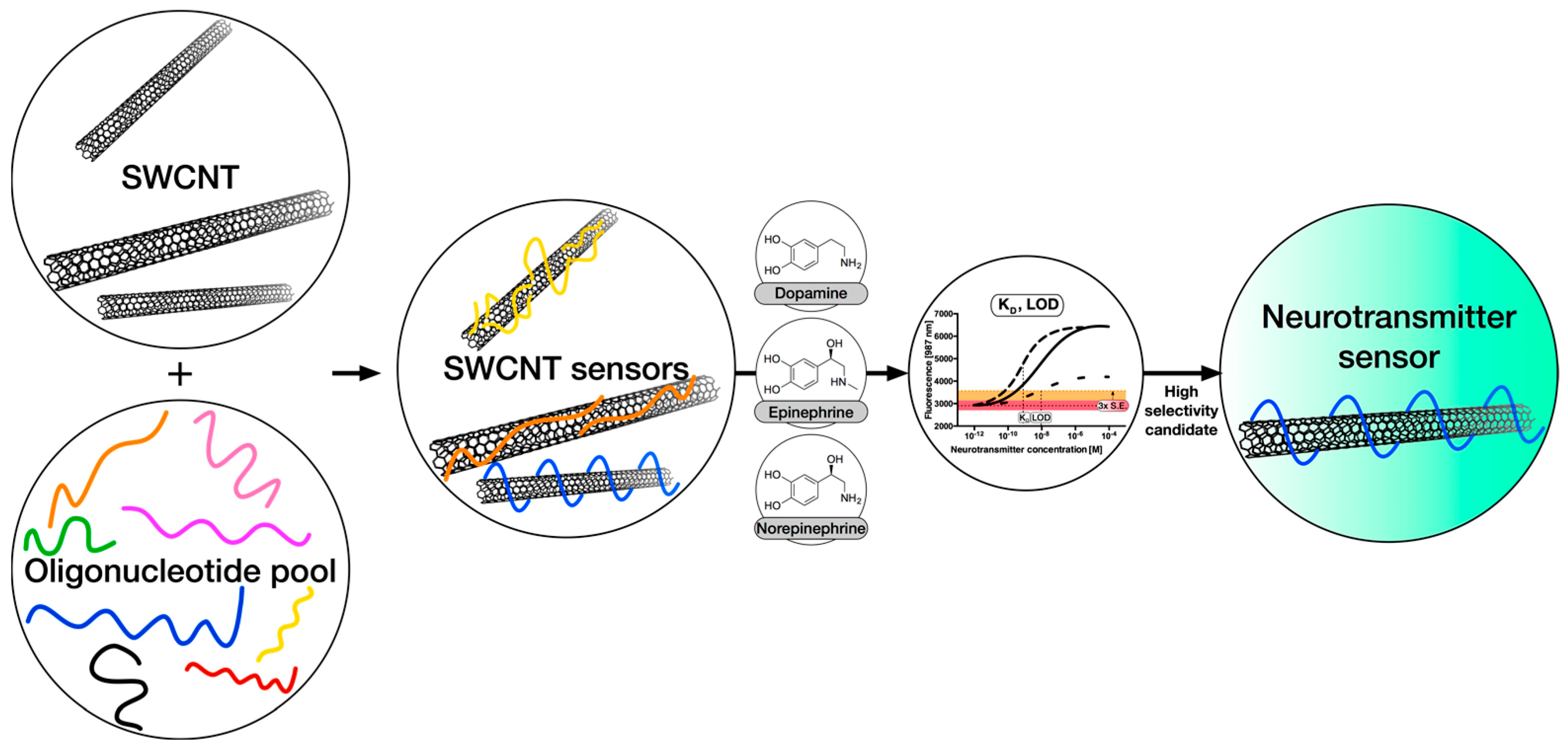 Batteries 11 00071 g003