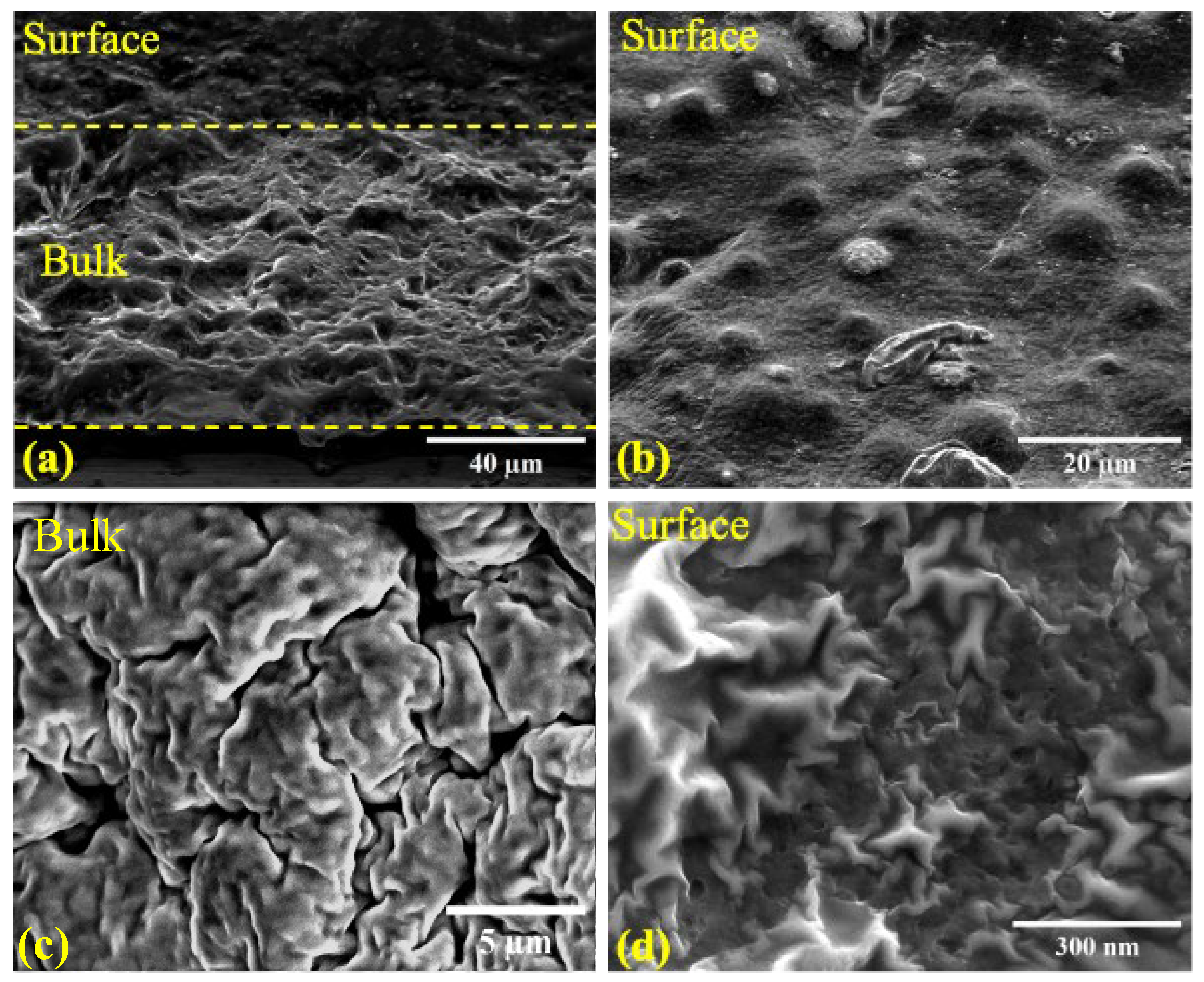 Batteries 11 00106 g002