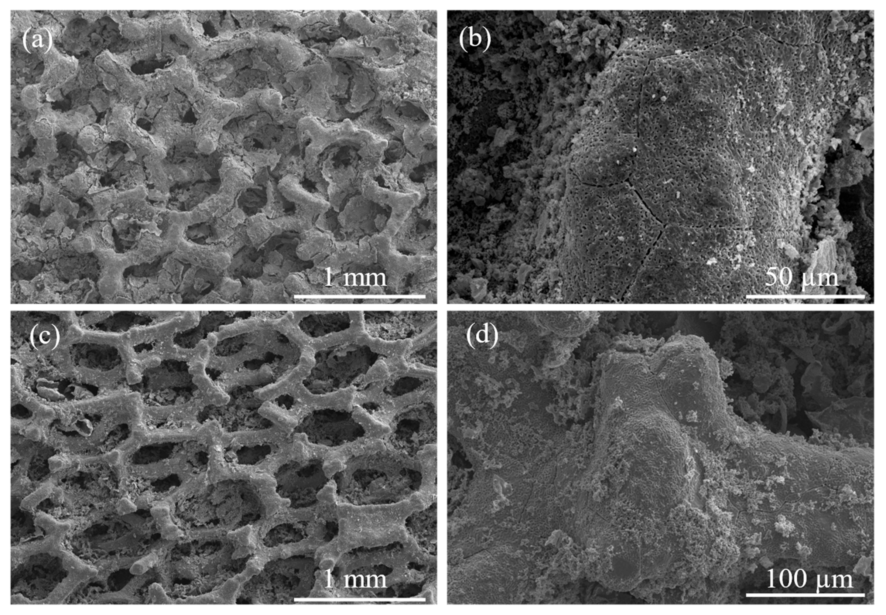 Batteries 11 00159 g004