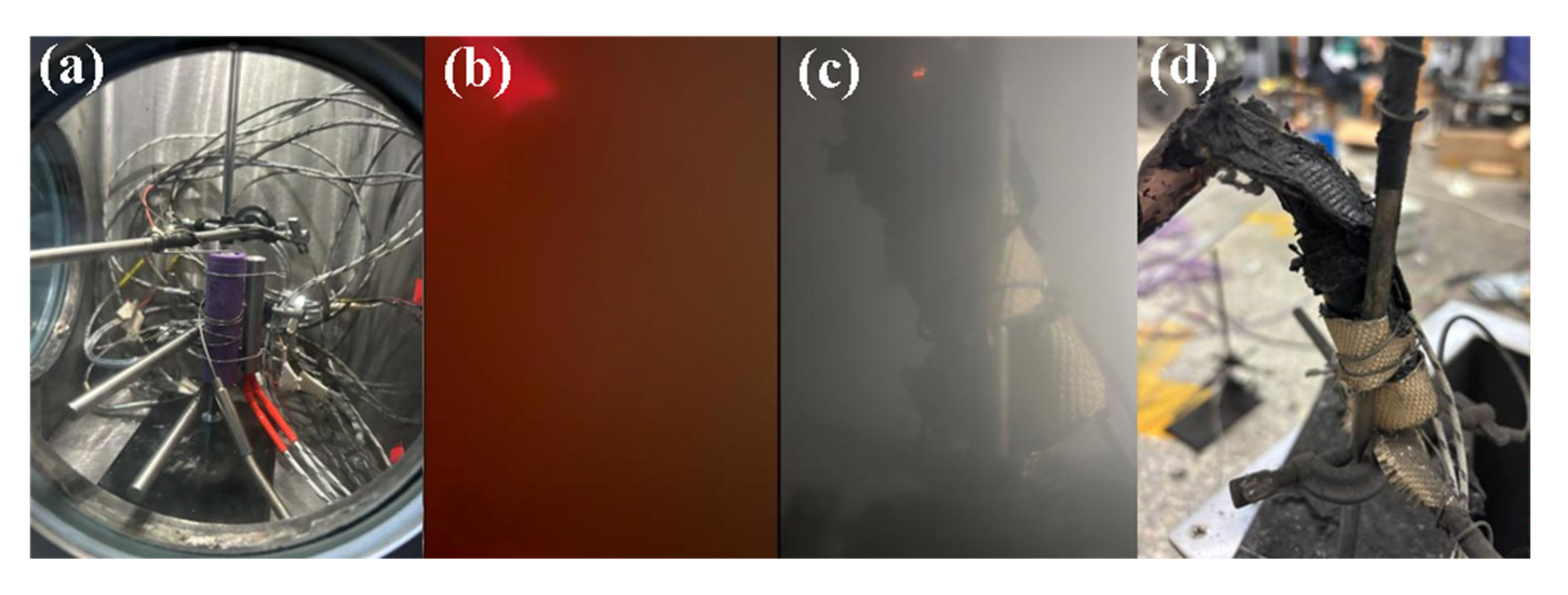 Batteries 11 00242 g004