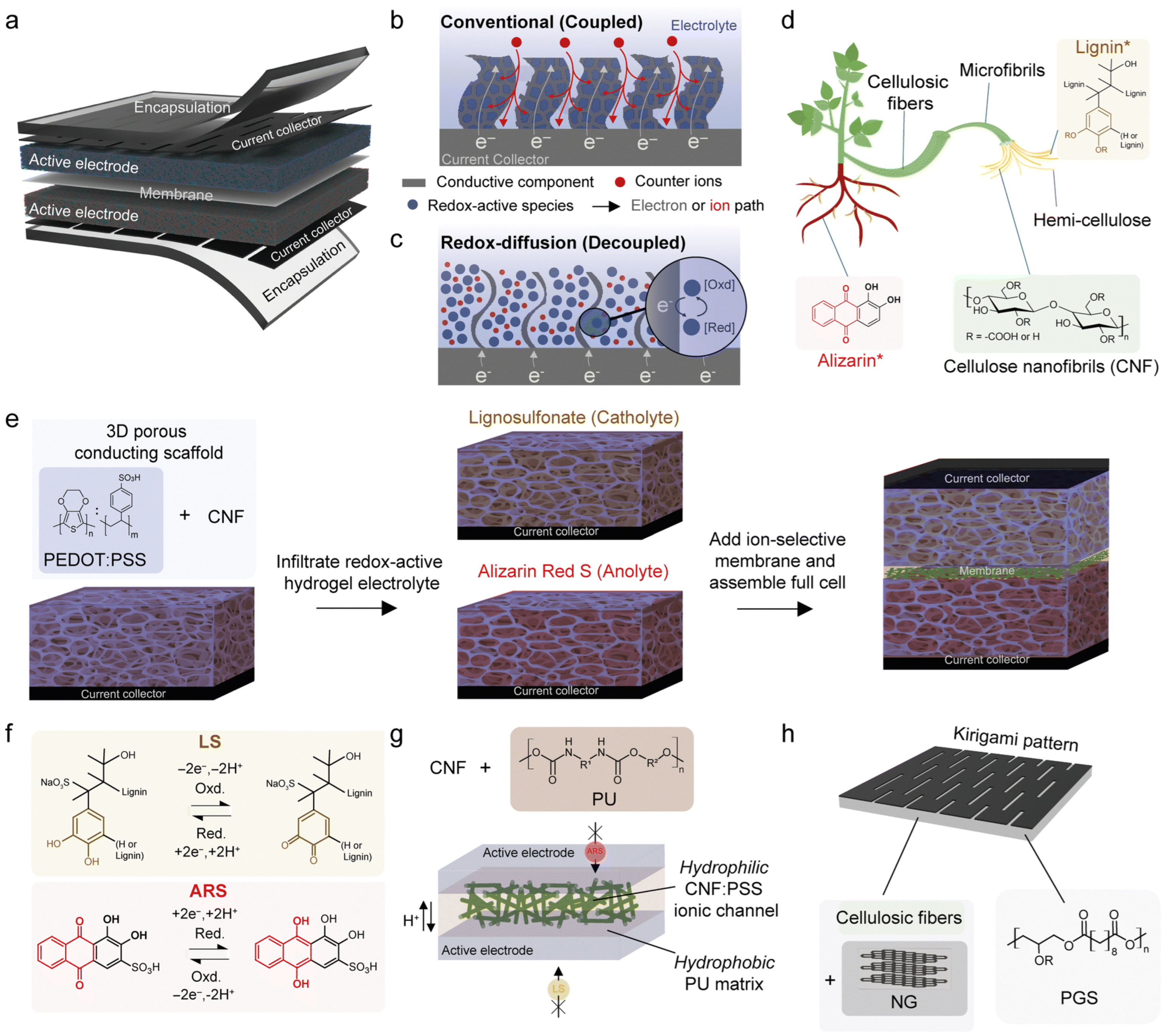 Batteries 11 00258 g007