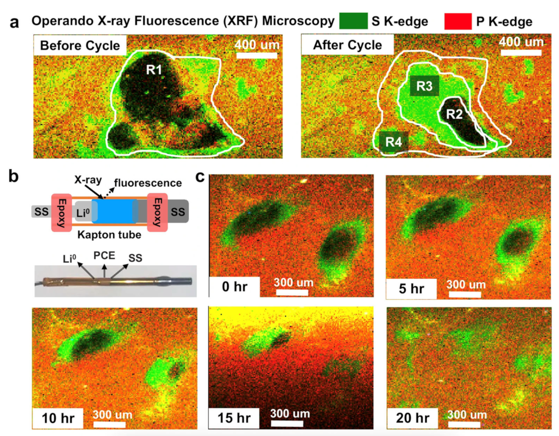Batteries 11 00304 g001
