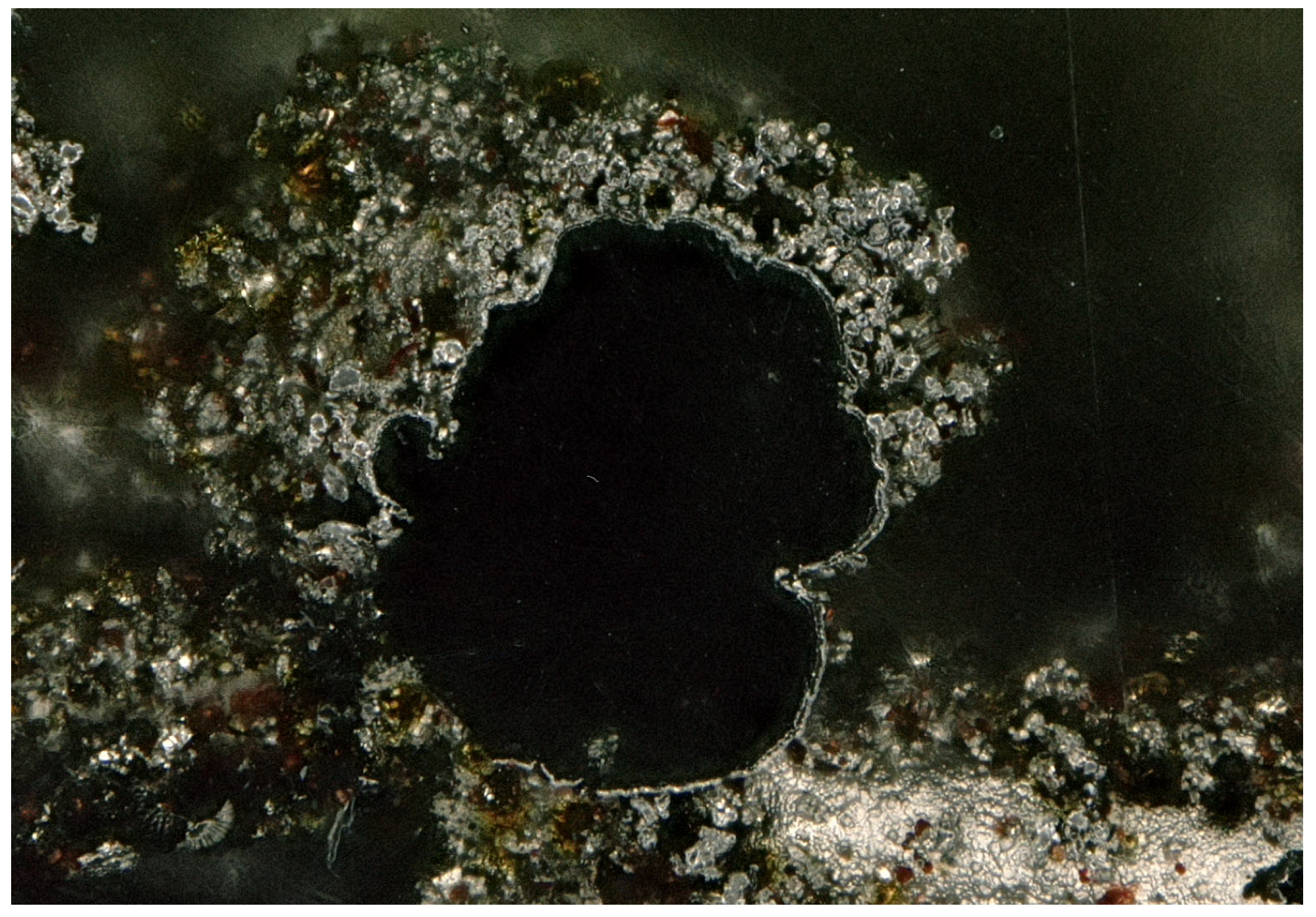 Batteries 11 00343 g006