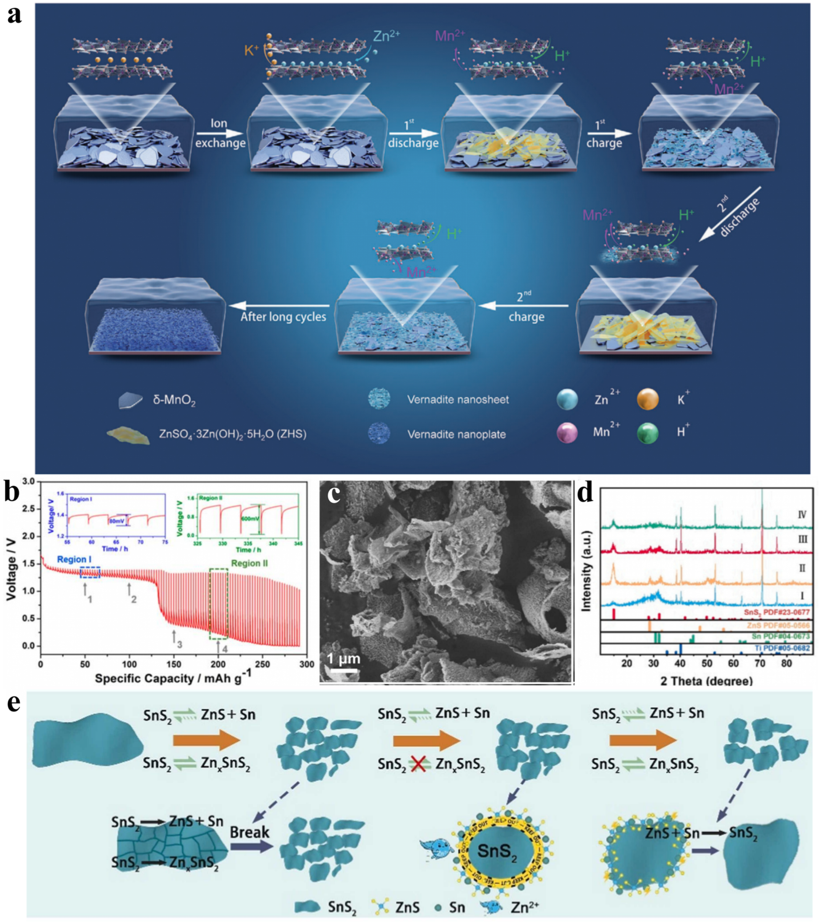 Hydrogel Polymer Electrolytes for Aqueous Zinc-Ion Batteries
