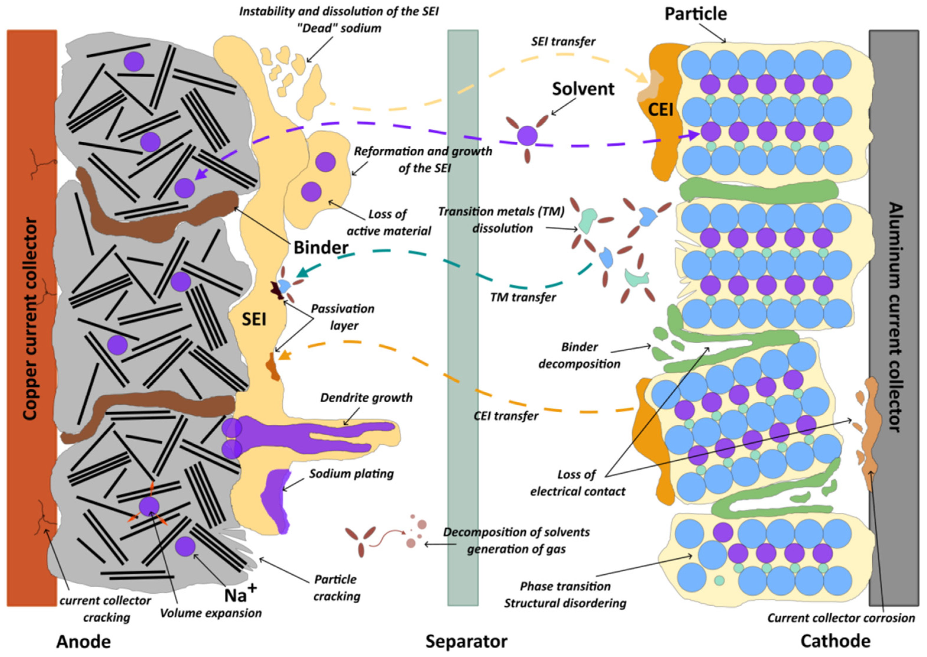 Batteries 11 00383 g010