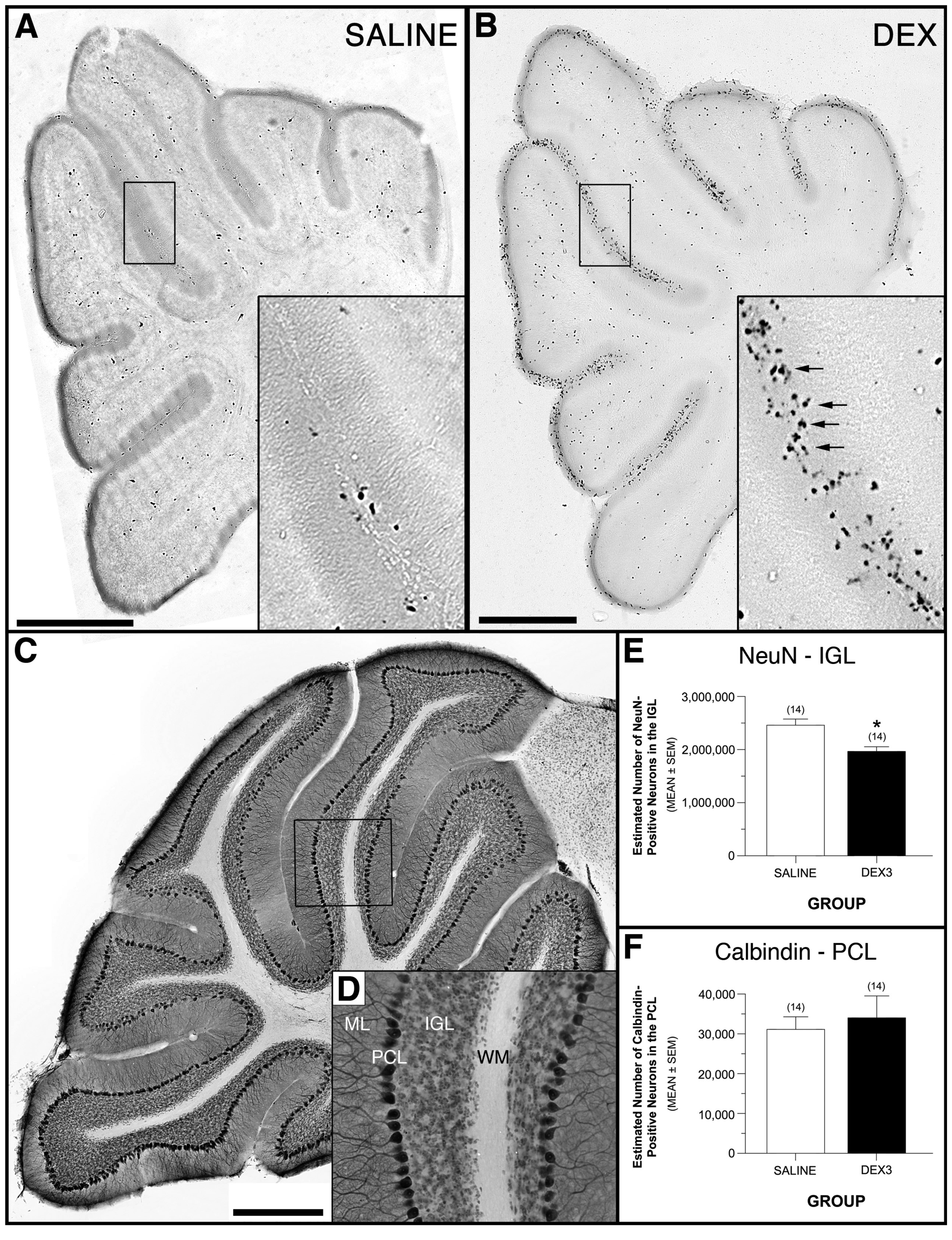 Behavsci 01 00004 g006 1024