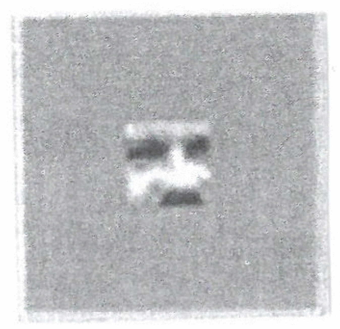 Behavsci 07 00061 g010 550