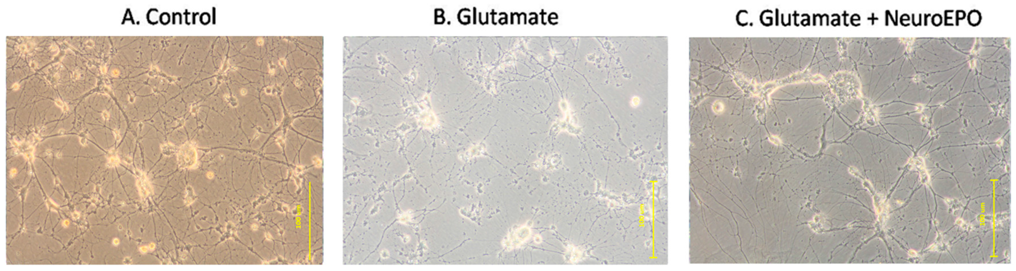 Behavsci 08 00026 g004
