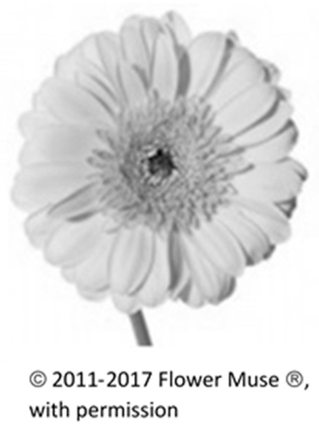 Behavsci 08 00032 g002 550