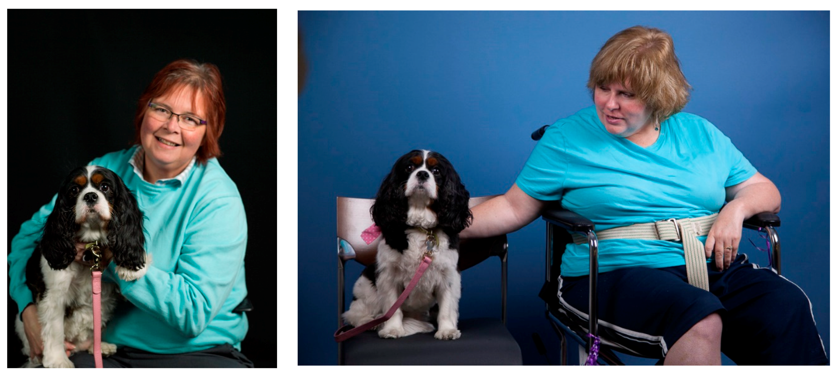 Behavsci 08 00043 g002