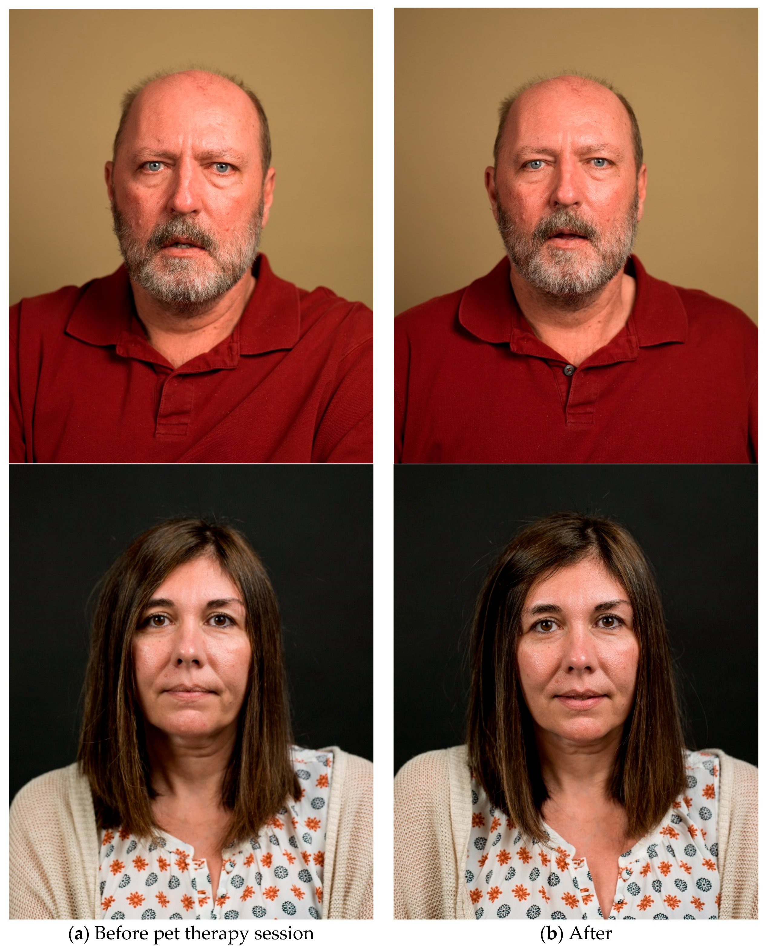 Behavsci 08 00043 g003