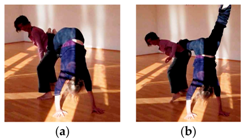 Behavsci 08 00052 g006