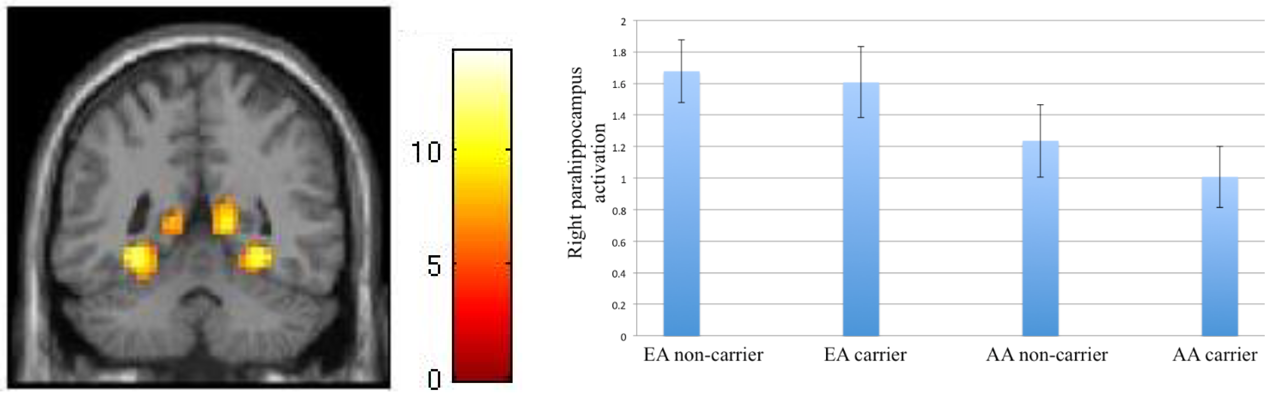 Behavsci 08 00062 g002