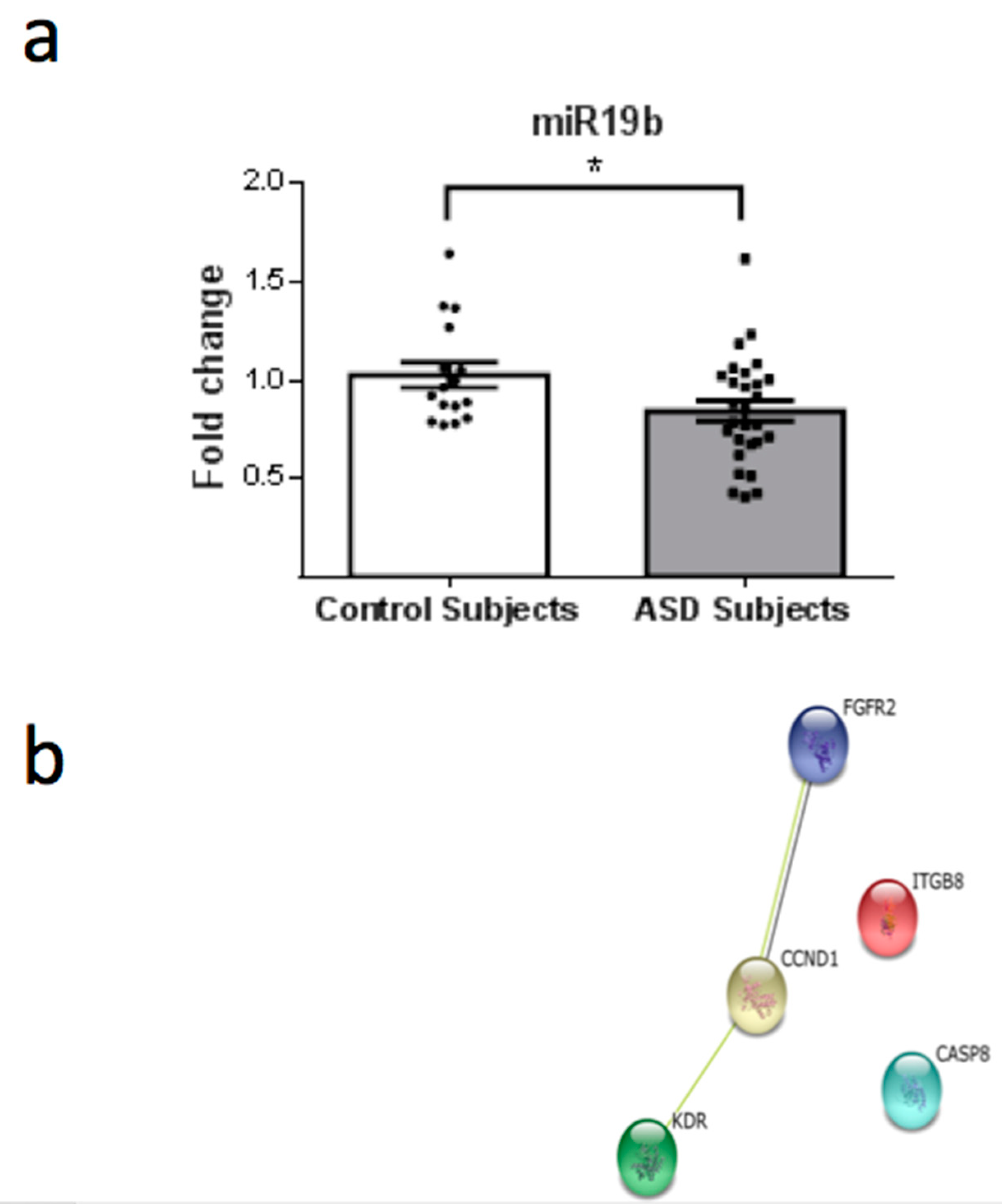 Behavsci 08 00075 g005