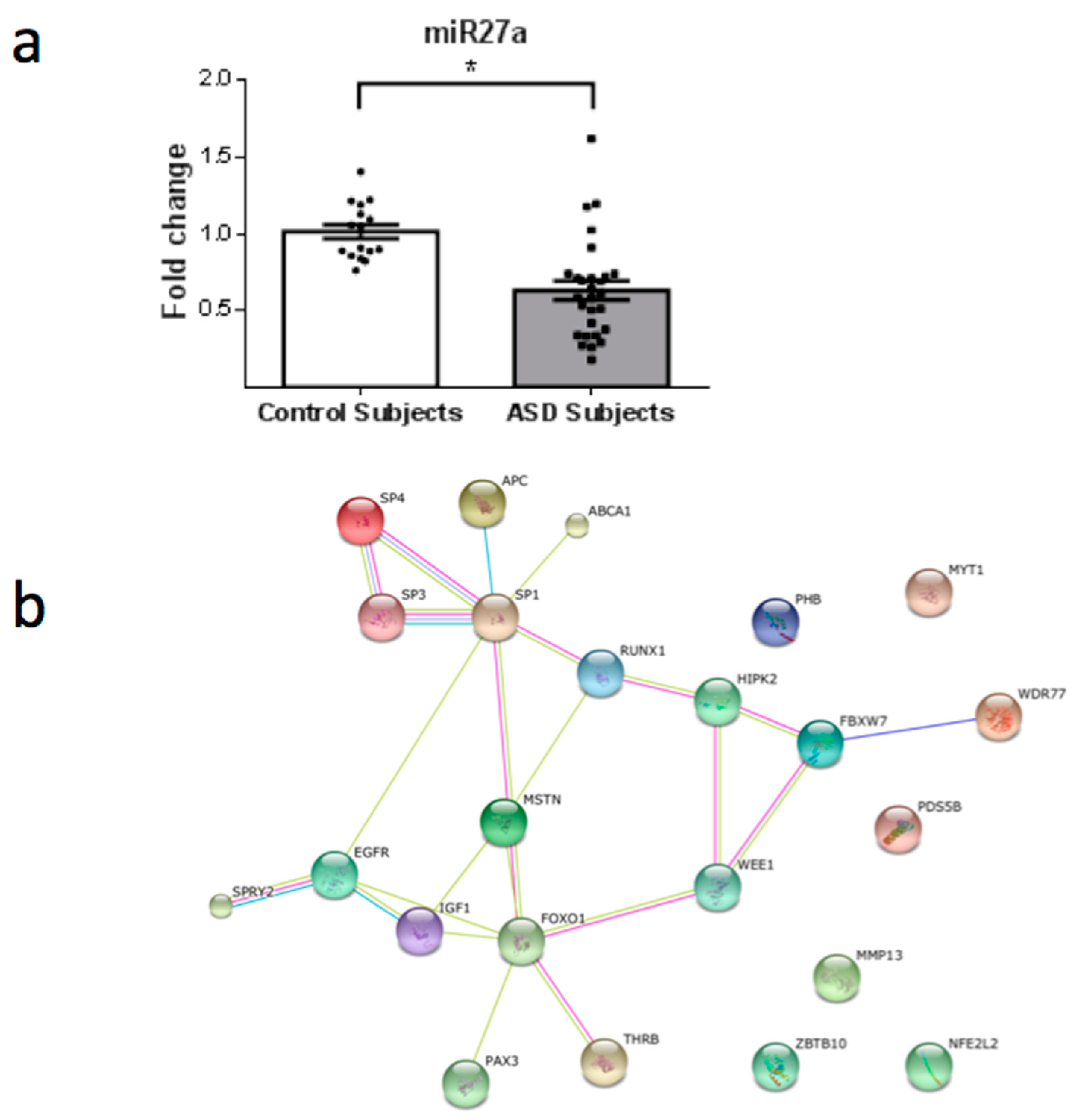 Behavsci 08 00075 g006
