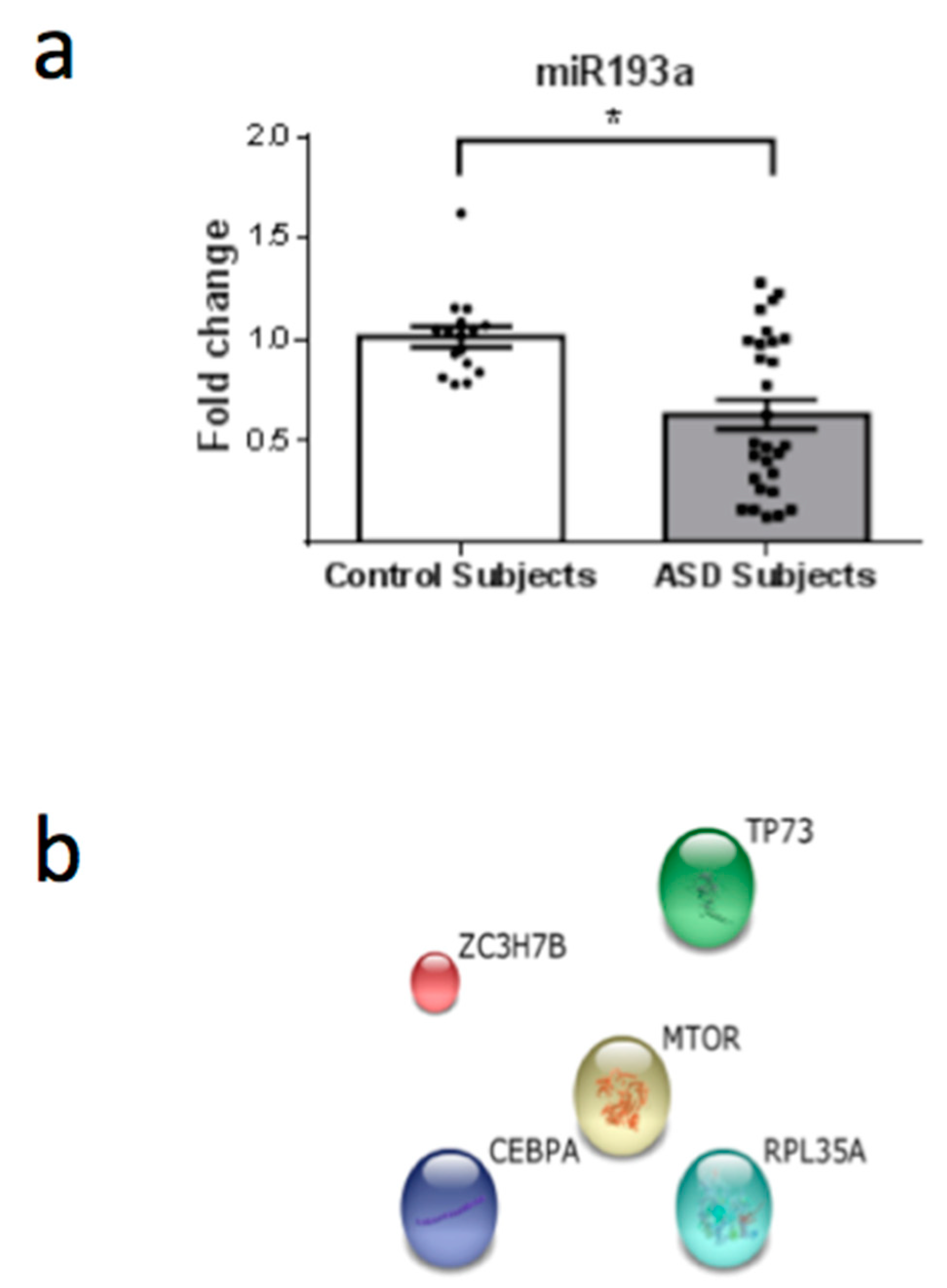 Behavsci 08 00075 g007