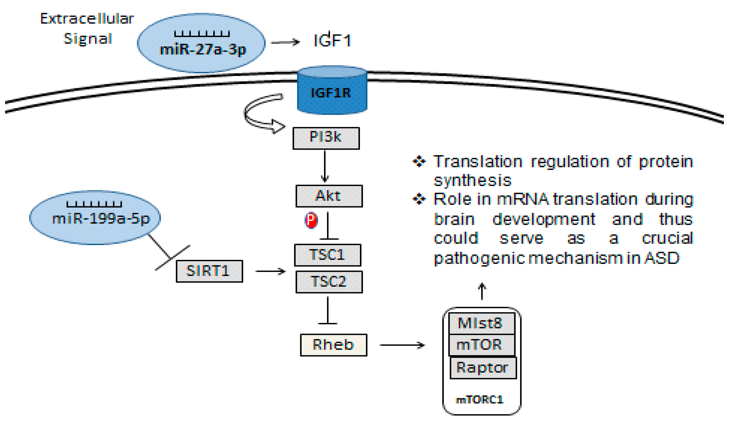 Behavsci 08 00075 g008