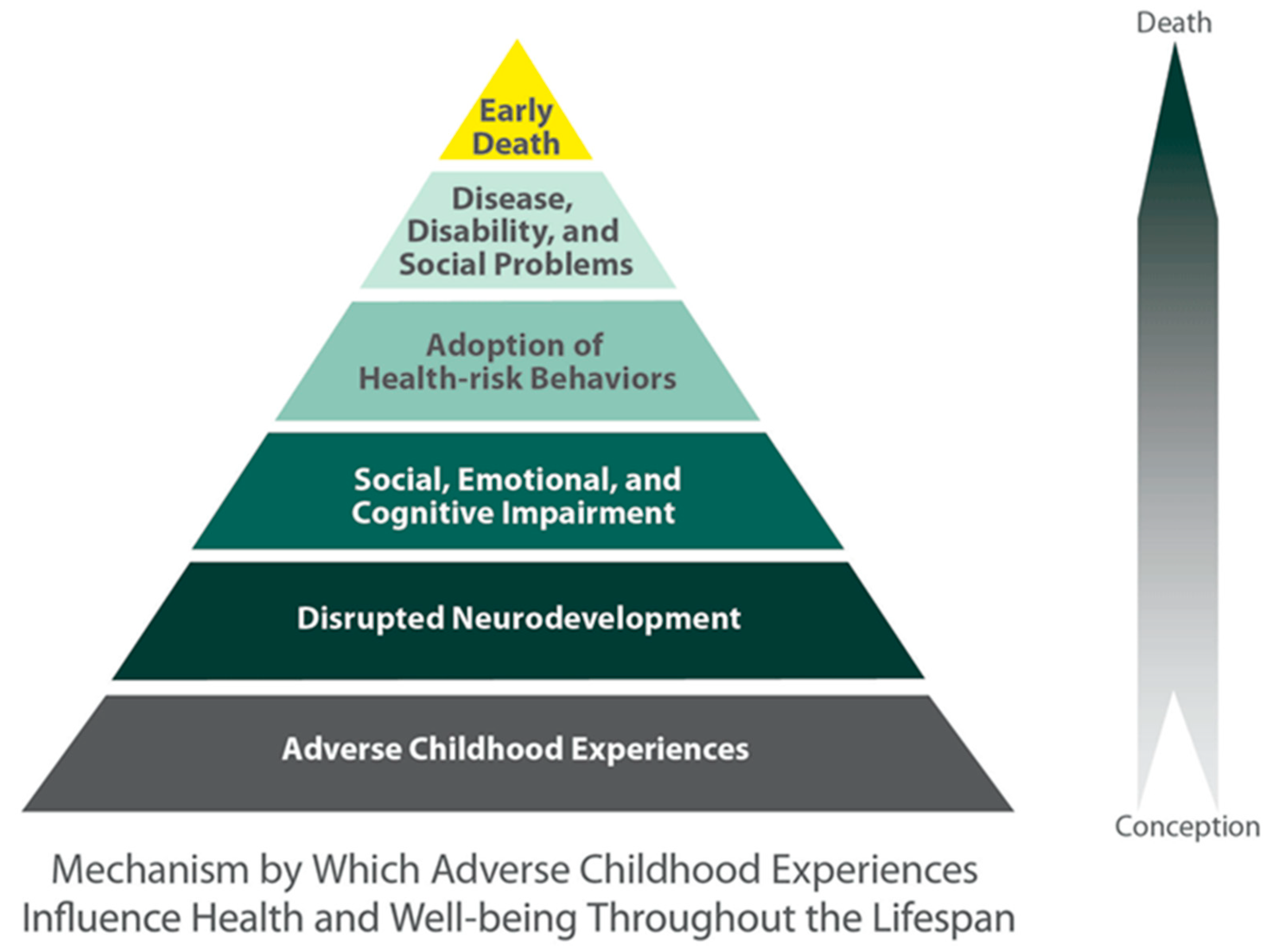 Influence development. Adverse childhood experiences. Adverse childhood experience Health. Пирамида Маслоу. Adverse Life experiences.