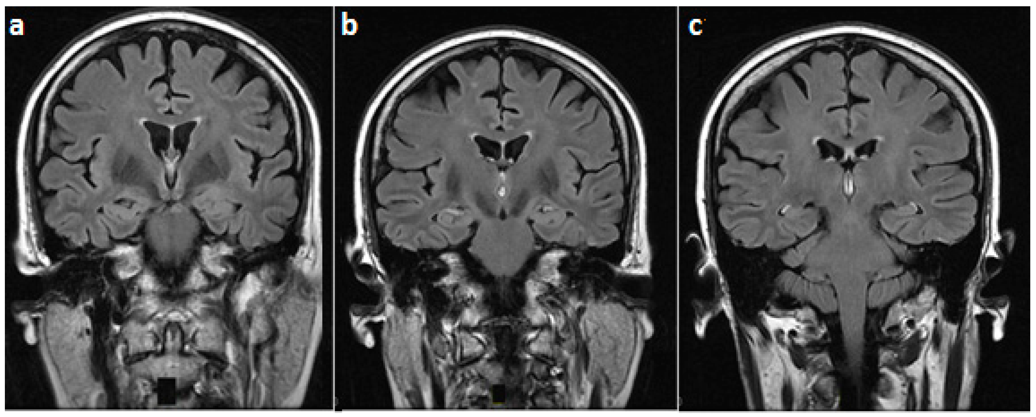 Behavsci 08 00104 g001