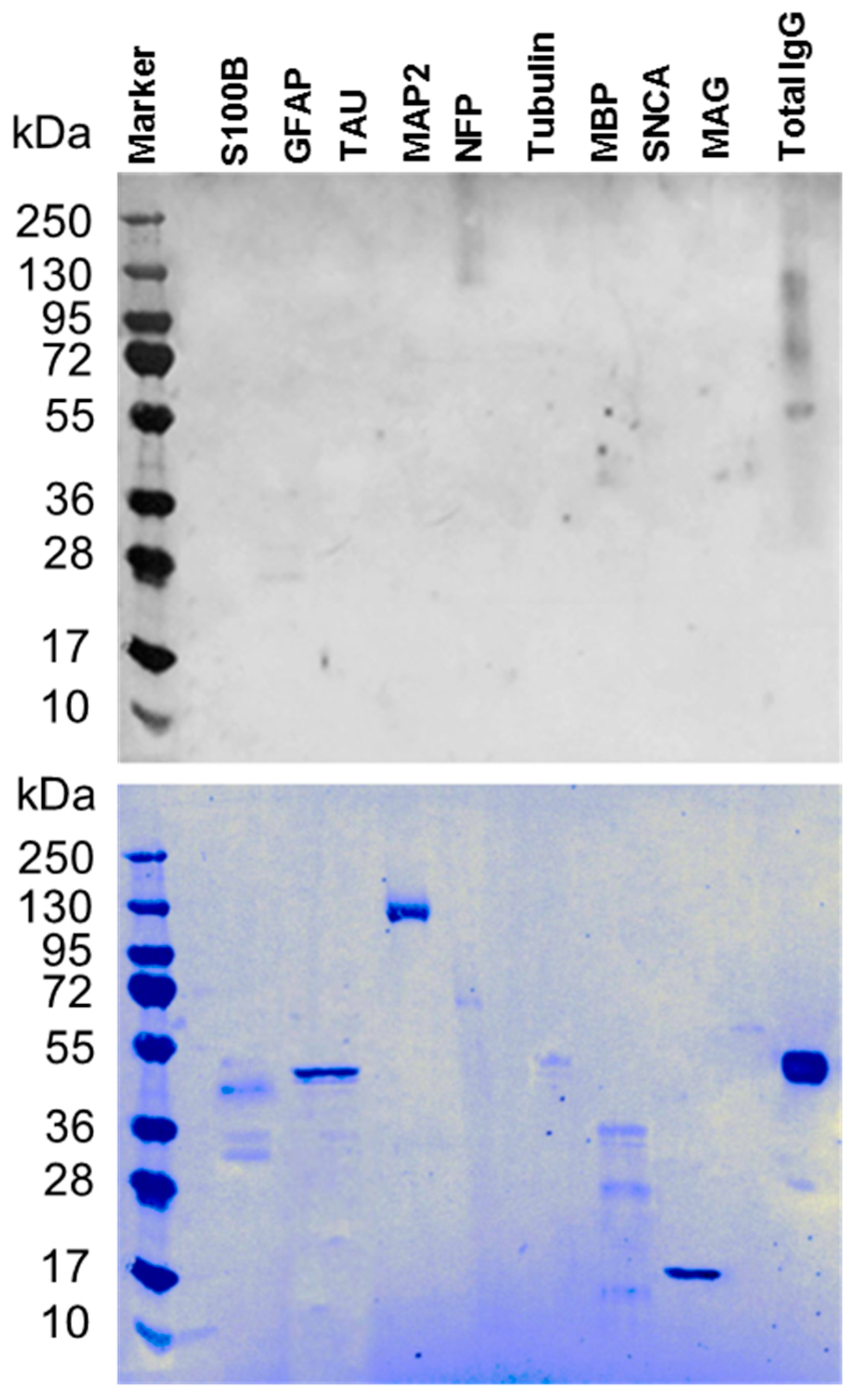 Behavsci 09 00047 g001 Behavsci 09 00047 g001