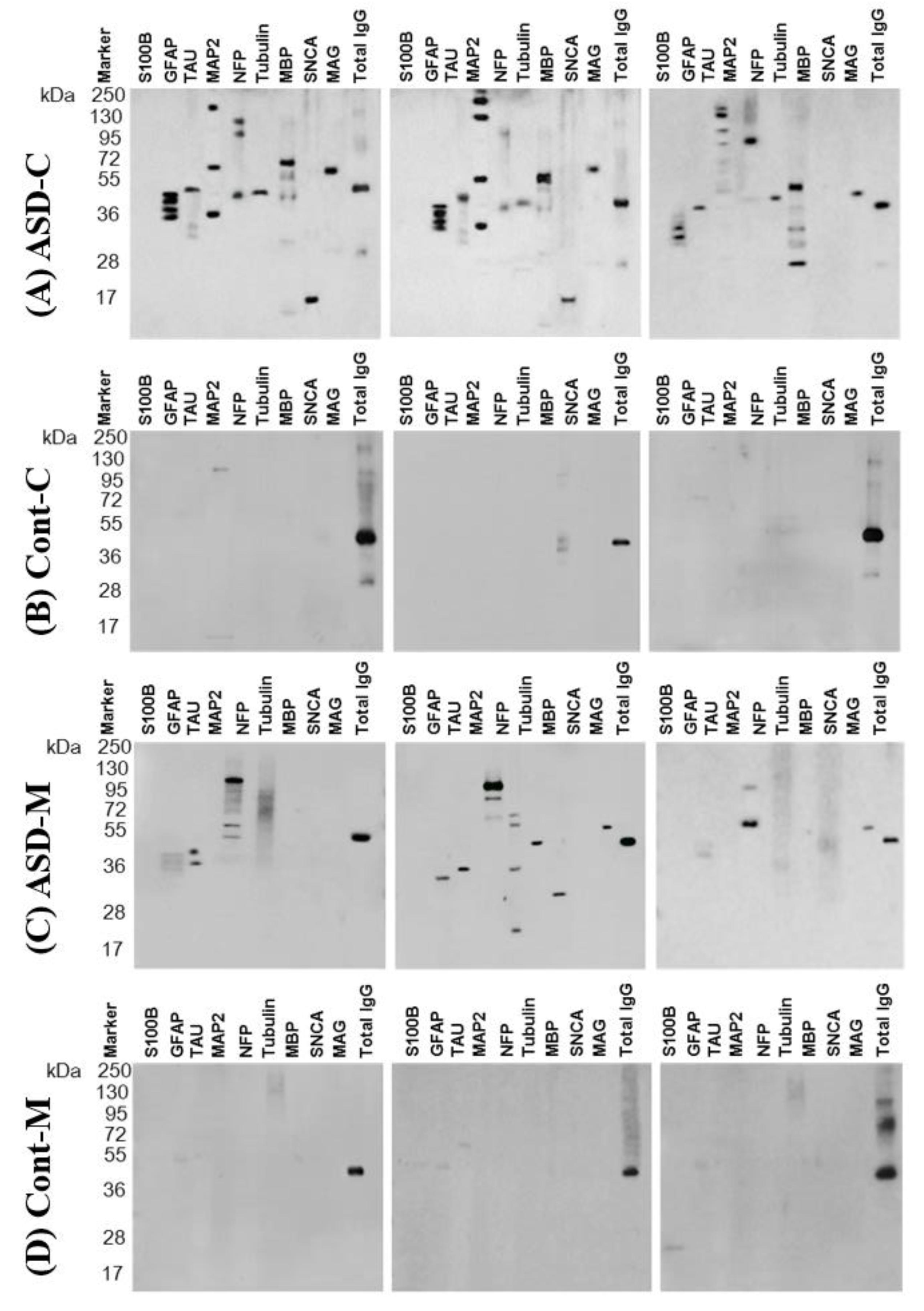 Behavsci 09 00047 g002 Behavsci 09 00047 g002
